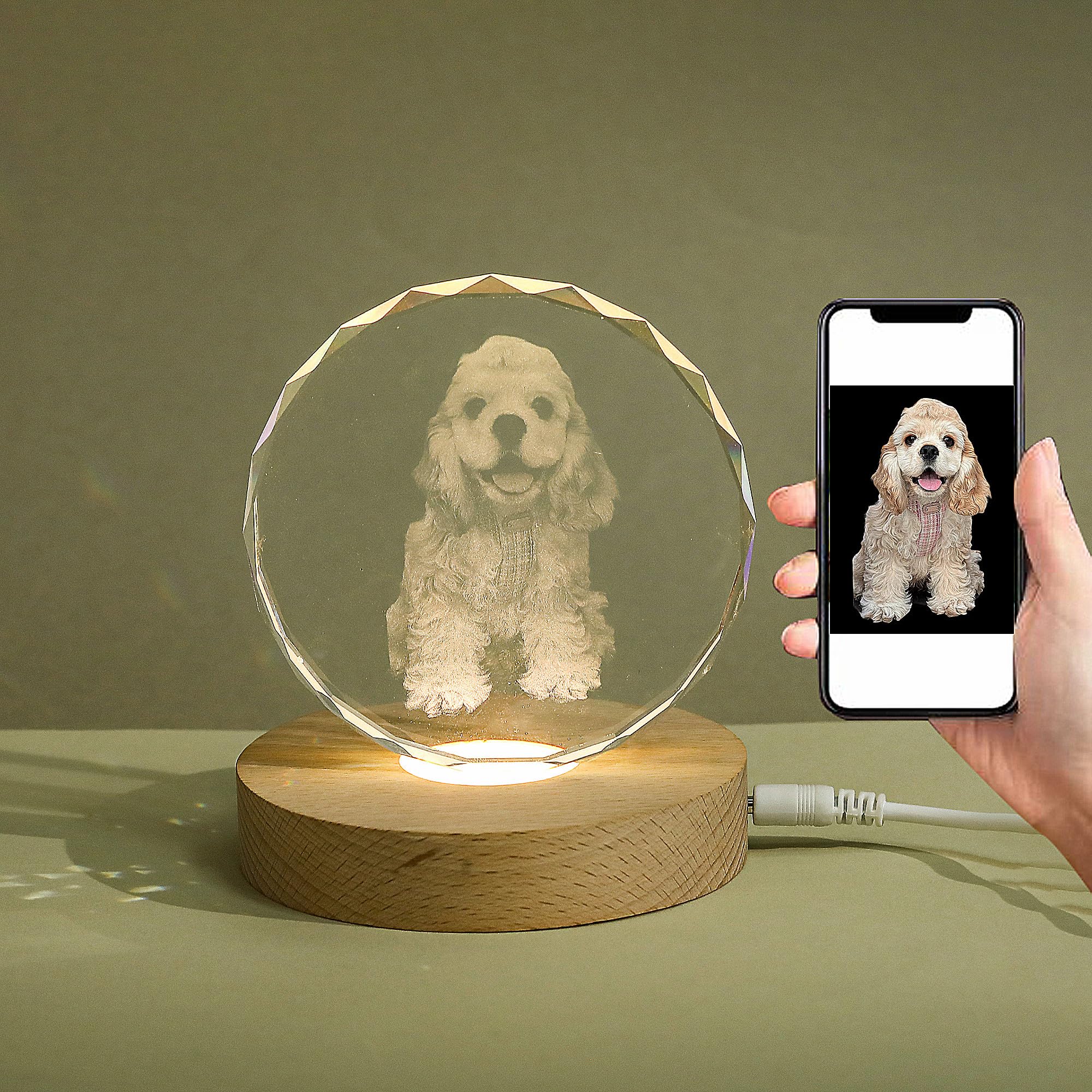 2D Crystal Photo Night Light,Personalized Crystal Custom Pictures,with LED Base Laser Engraved Glass Ball Light fit for Christmas, Birthday, Wedding, Anniversary,Pet Memorial (Round)