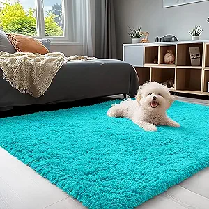 OLANLY 3x5 Machine Washable Small Bedside Rug, Soft Fluffy Shaggy Rugs for Living Room, Bedroom, Indoor Floor Carpet for Kids Girls and Boys, Preppy Dorms, Nursery, Home Decor Aesthetic, Teal Blue