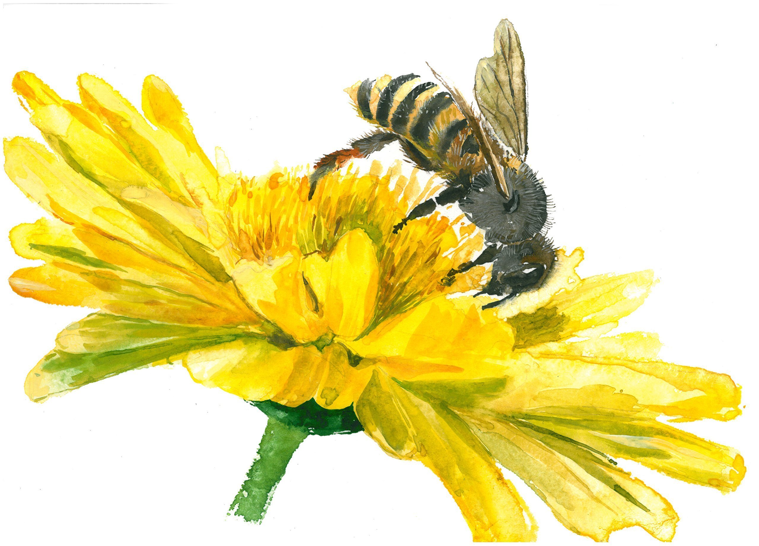 Honey bee art #A051. Honey Bee art print (8x10).Honey bee wall art.Bee painting.Living room wall art.Living room prints.Wall decor.Bee pictures