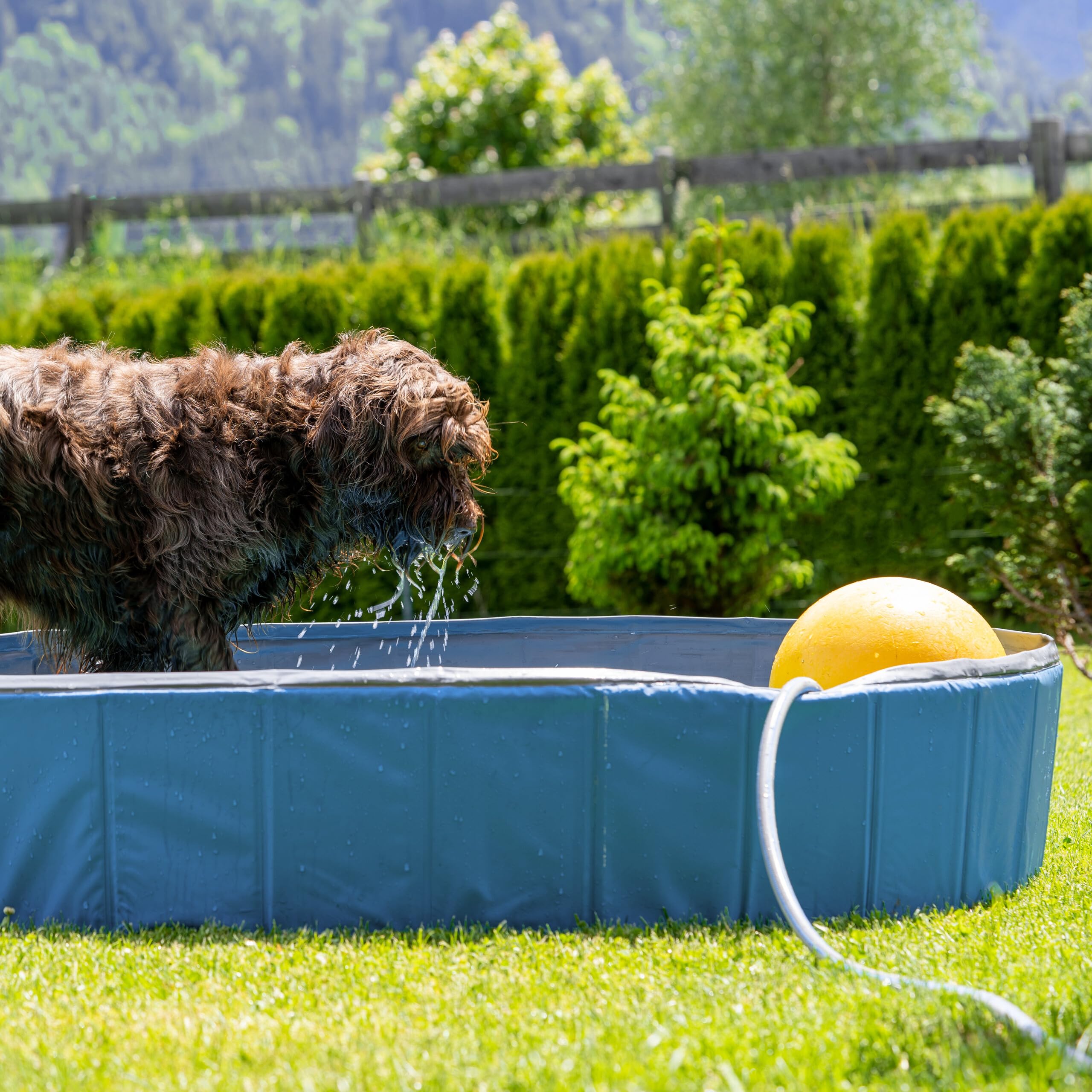 Relaxdays Piscina per Cani Taglia Media, 30x160 cm, Piscinetta Pieghevole con Scarico, Bagno in Giardino, PVC e MDF, Blu