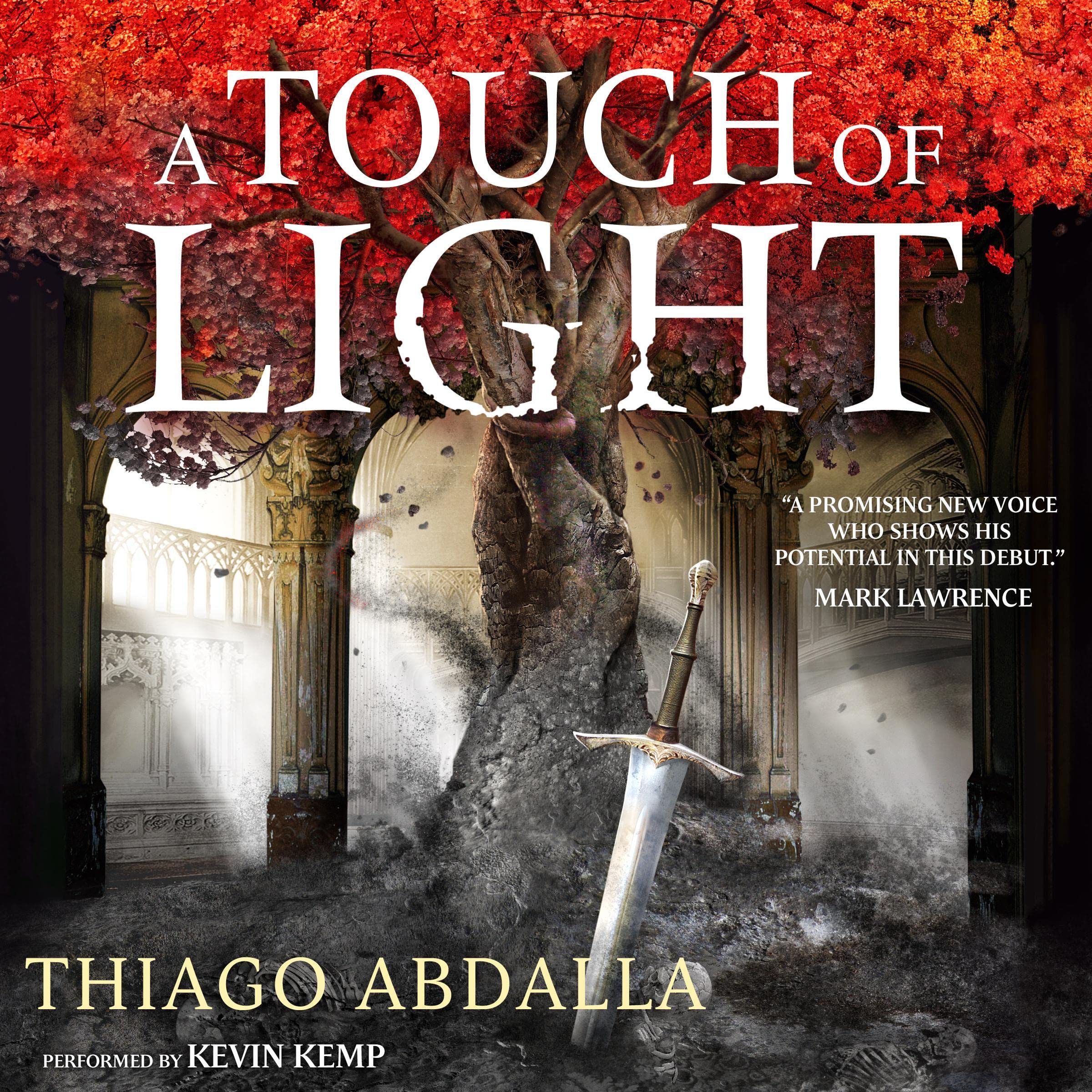 Cover art for A Touch of Light