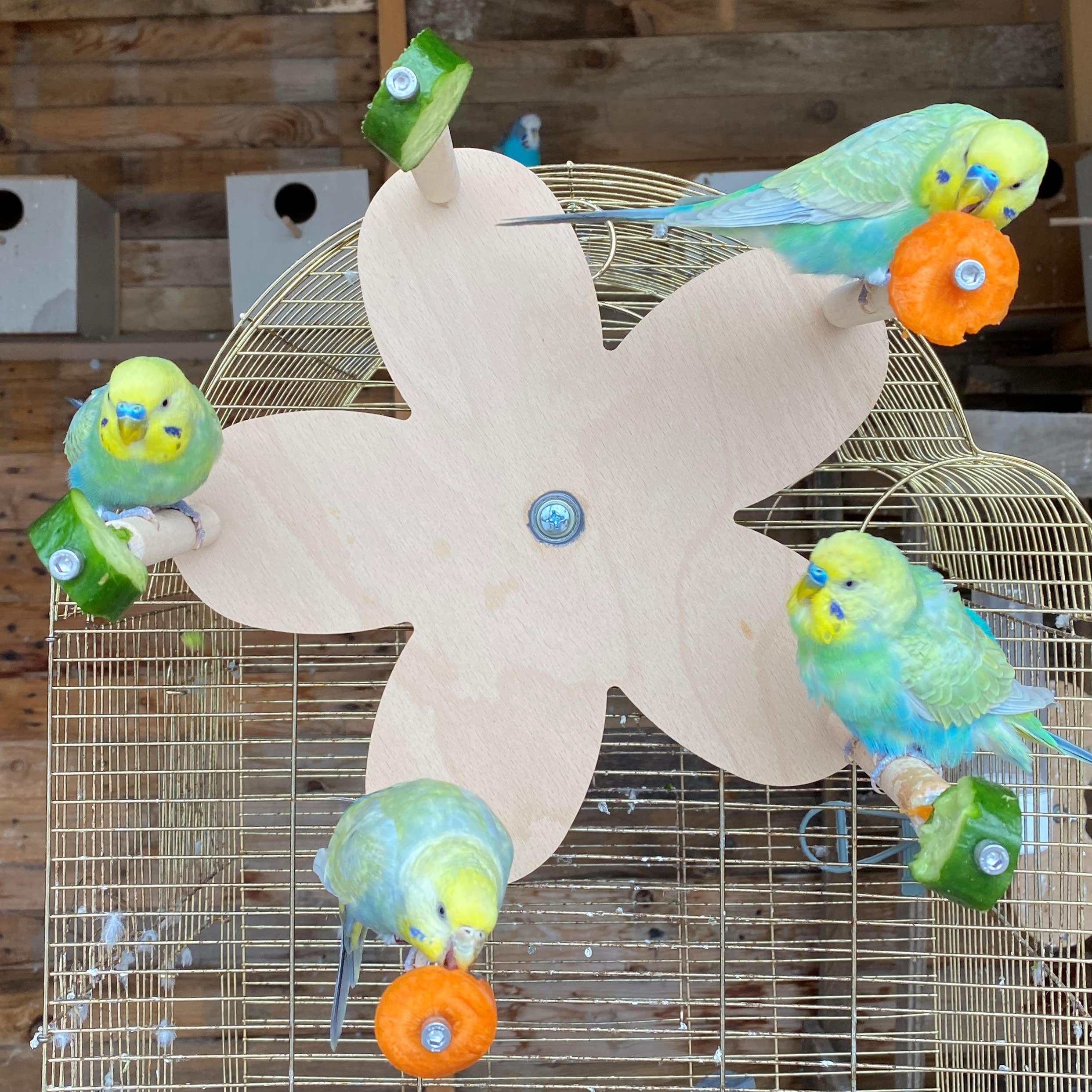 Ferris Wheel Toy for Birds with 5 Food Holder Perches