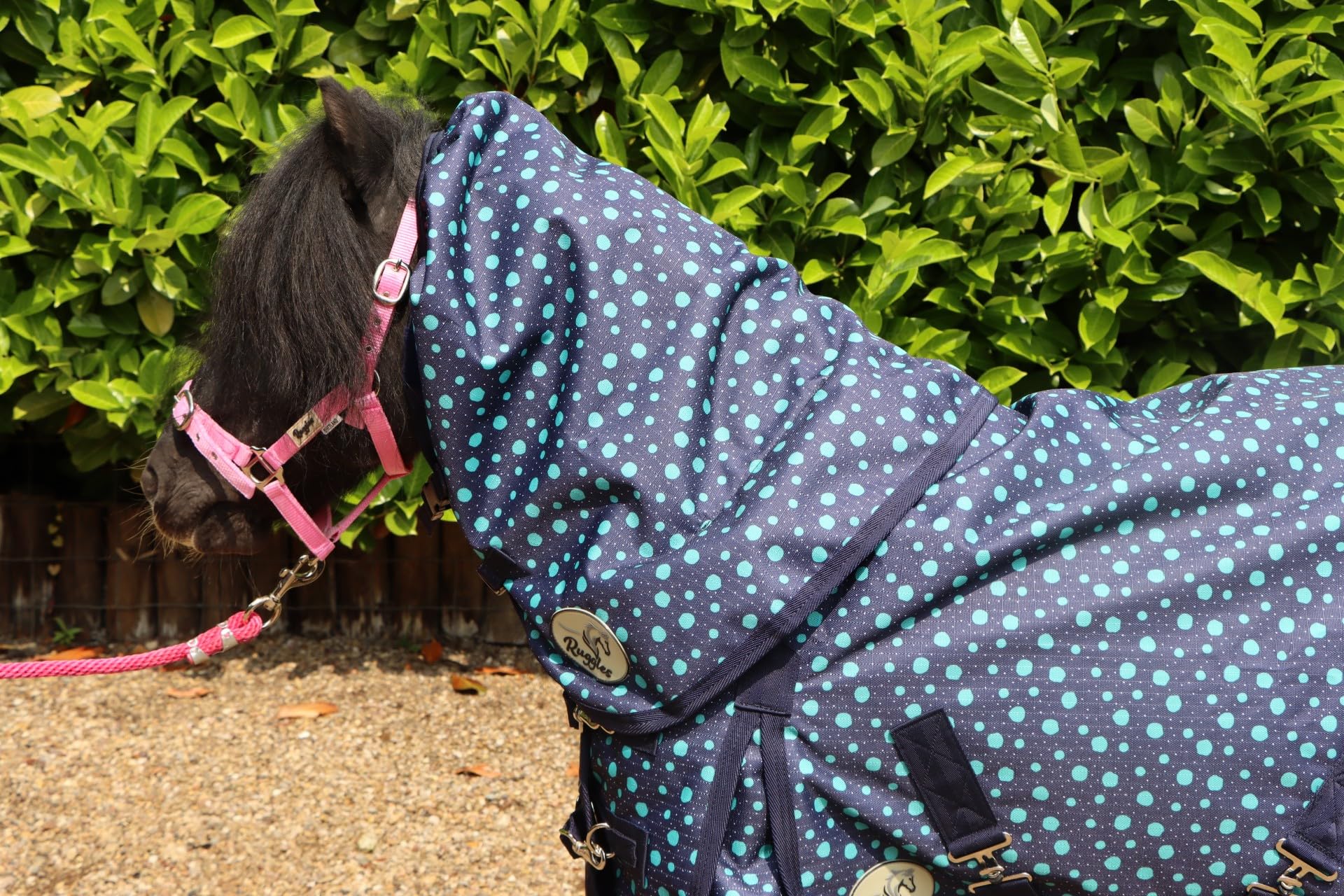 Ruggles Lightweight No Fill NECK COVER for Shetland Pony Donkey Section A Miniature Horse | Breathable Teflon Coated Outer | Anti Rub Lining (S - XL) (Aqua Spots, Large)