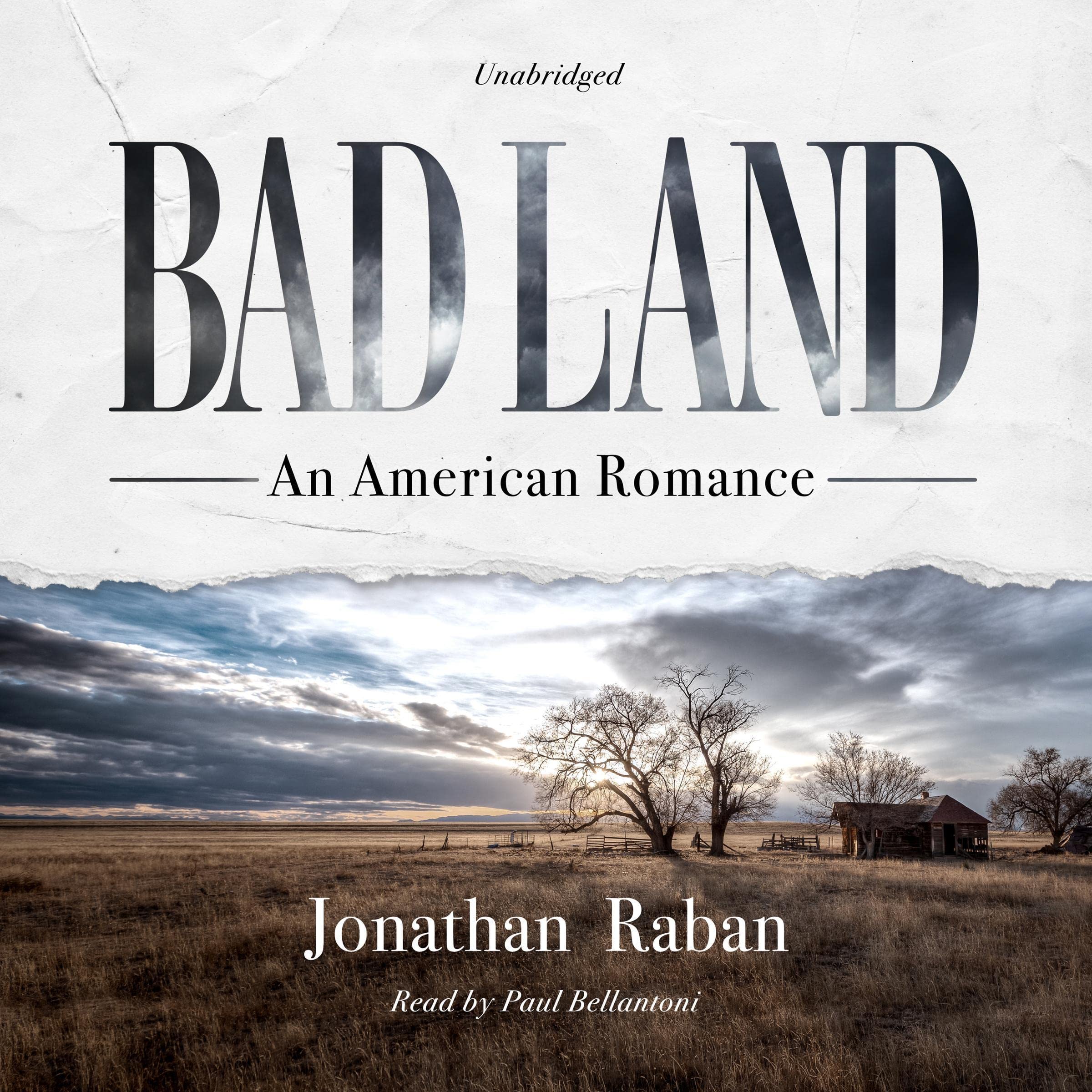 Cover art for Bad Land