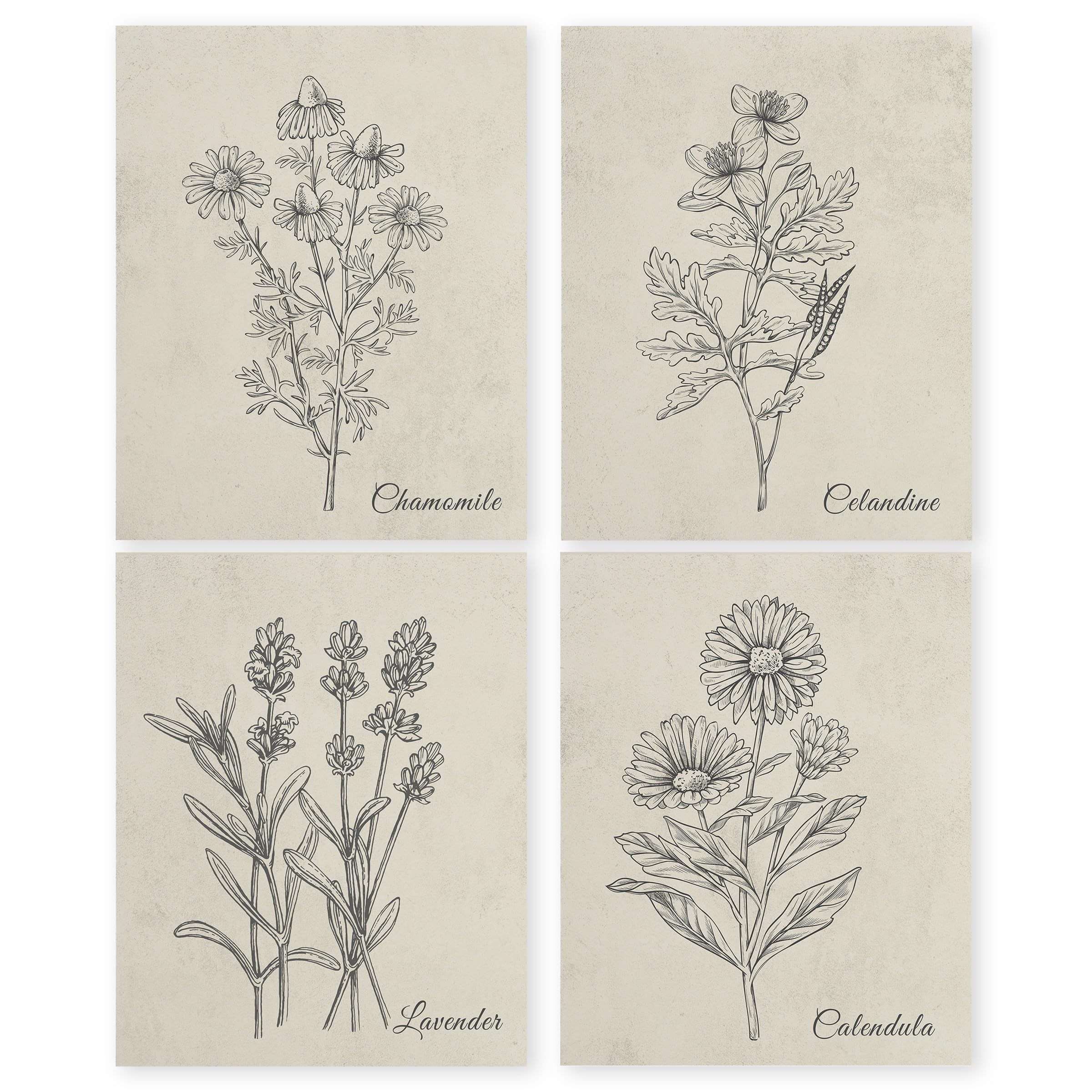 Amazon.com: HRQKO Vintage Botanical Wall Art Poster Prints Set of 4 ...