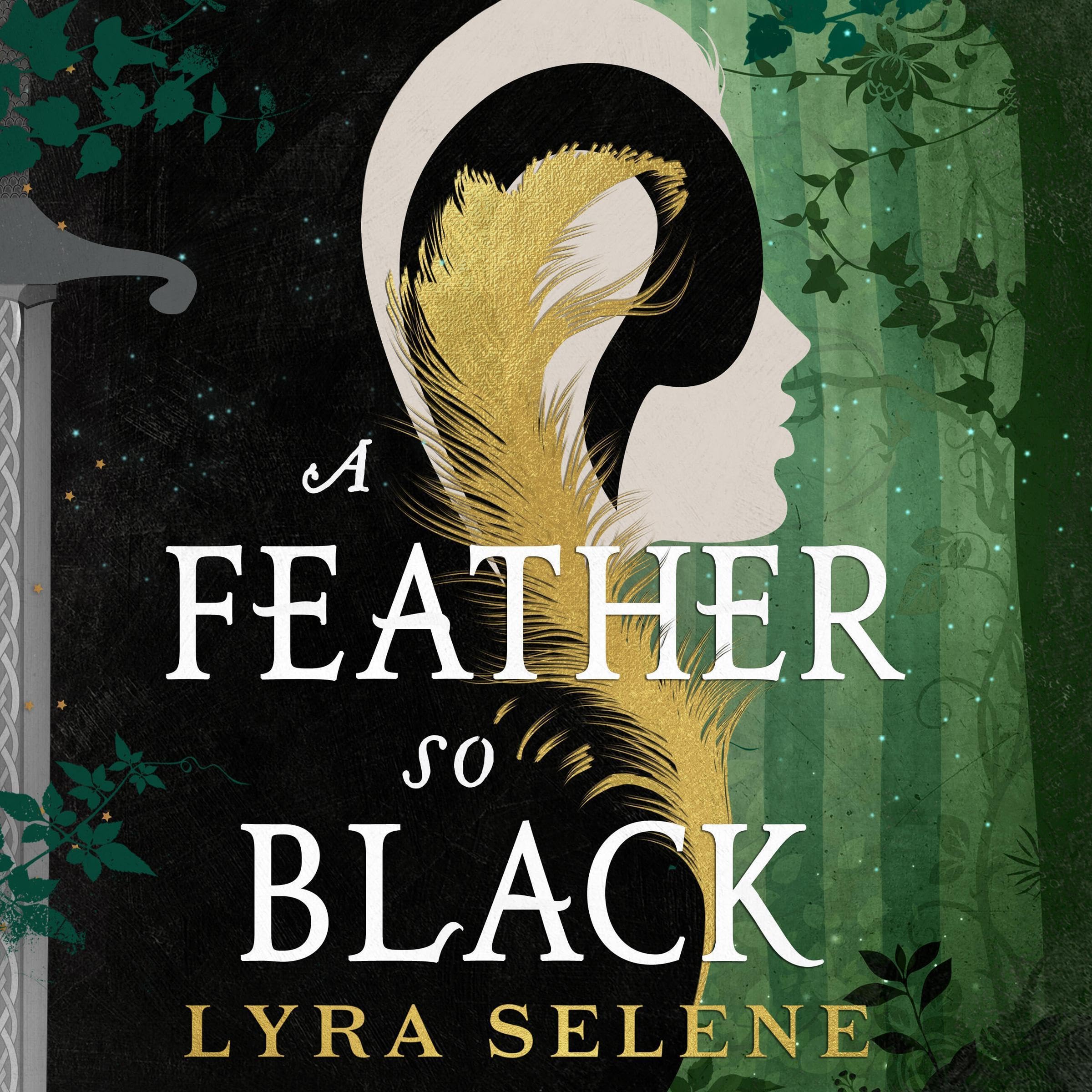 Cover art for A Feather So Black