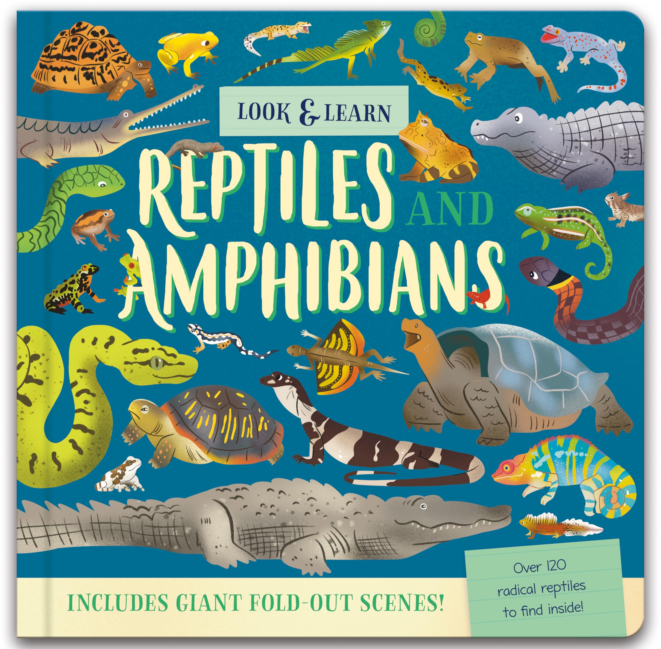 Look and Find Fold-Out Board Book - Reptiles - Perfect for Children Aged 3 Years Upward: Reptiles and Amphibians (Nature Look & Find Board Books)