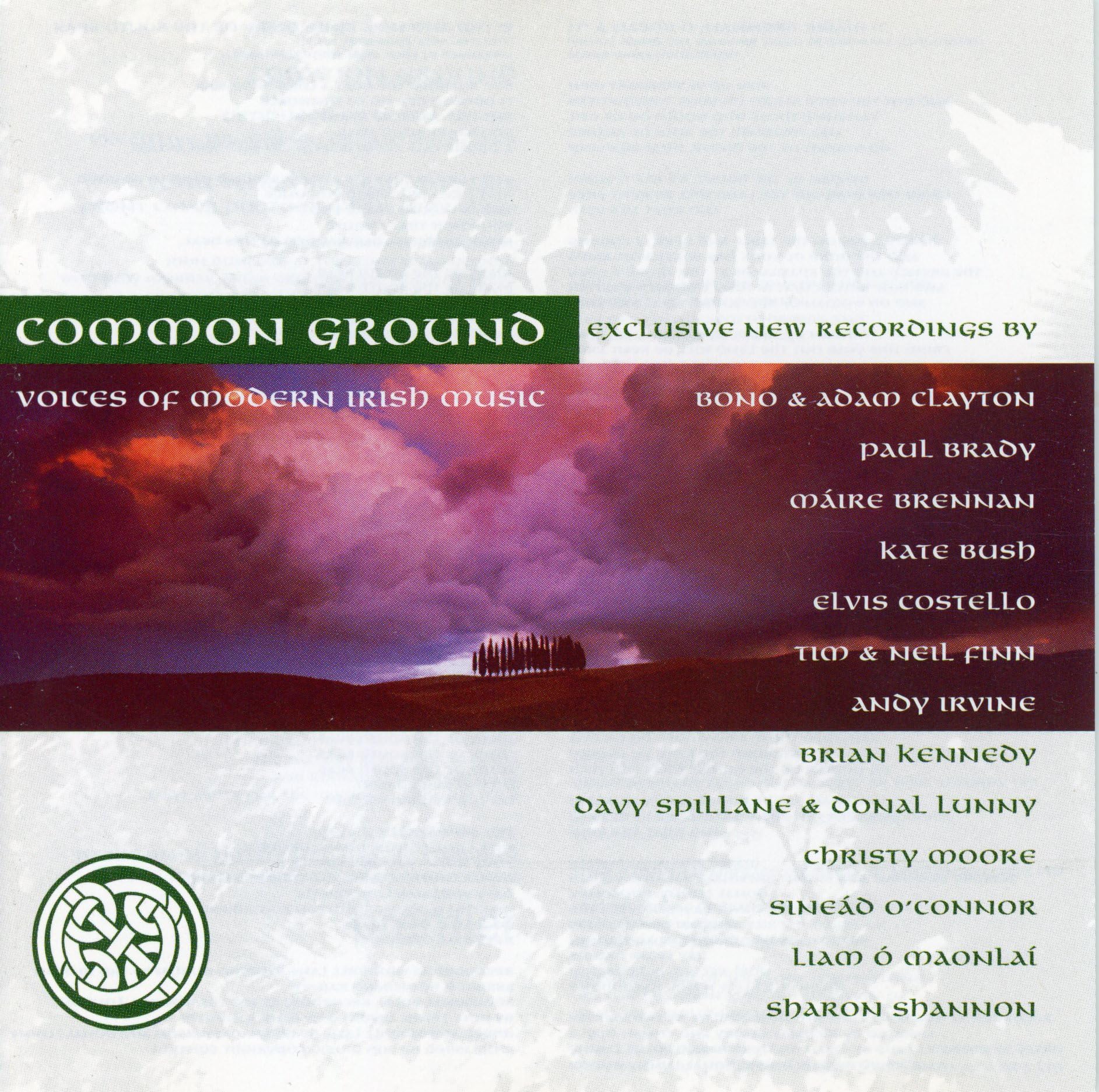Common Ground: Voices Of Modern Irish Music [Audio CD] VARIOUS ARTISTS