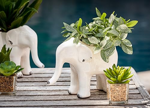 Miniatura 4 de Abbott Collection Pie Macetero con forma de elefante