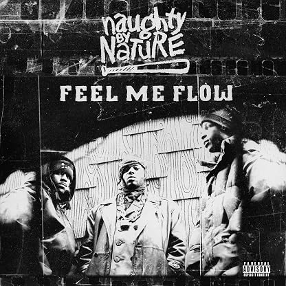 Feel Me Flow por Naughty By Nature — capa do álbum