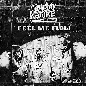 Feel Me Flow por Naughty By Nature — capa do álbum