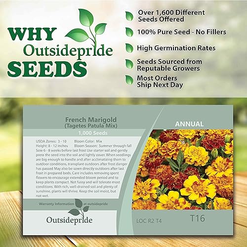 Miniatura 4 de Outsidepride Marigold - Mezcla