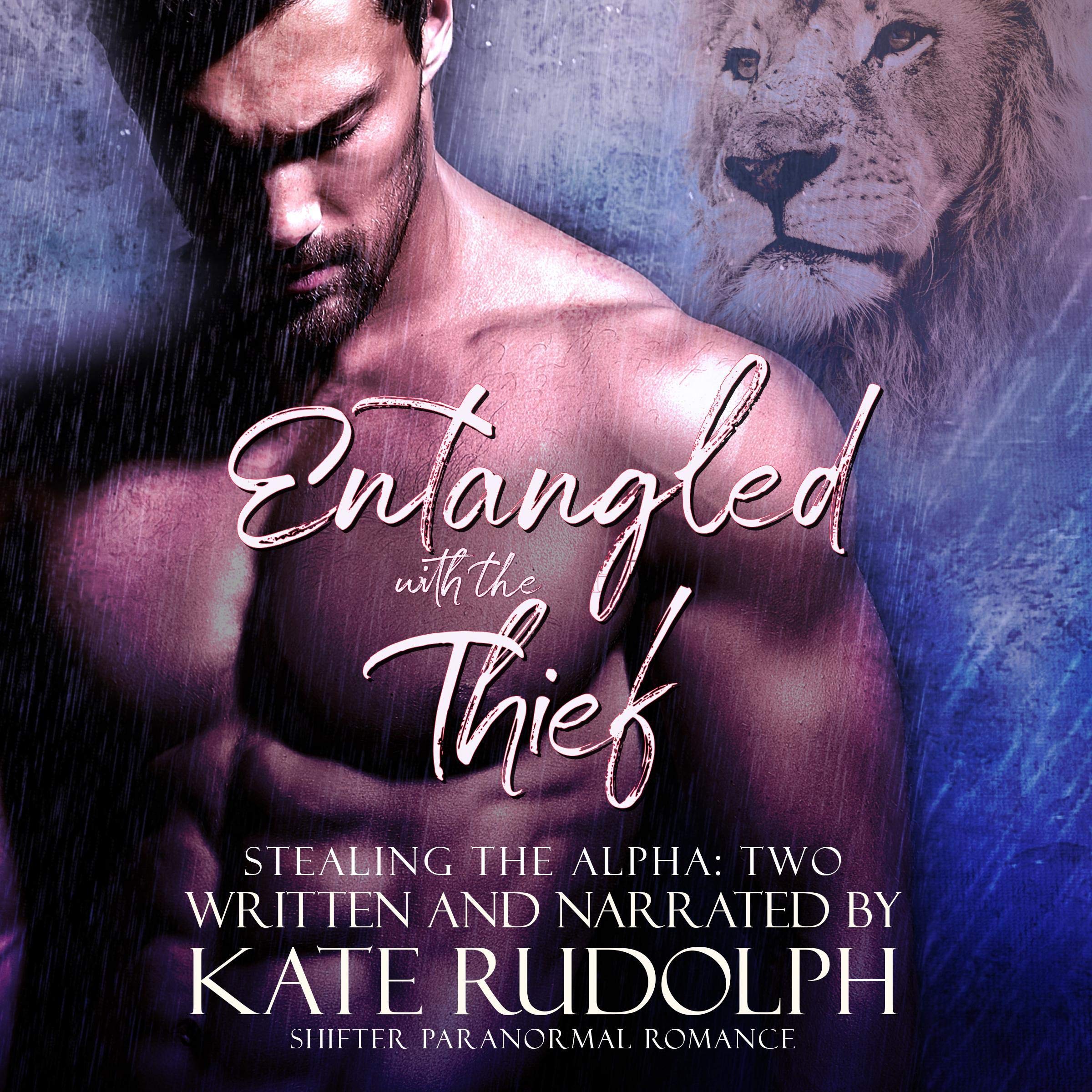 Cover art for Entangled with the Thief