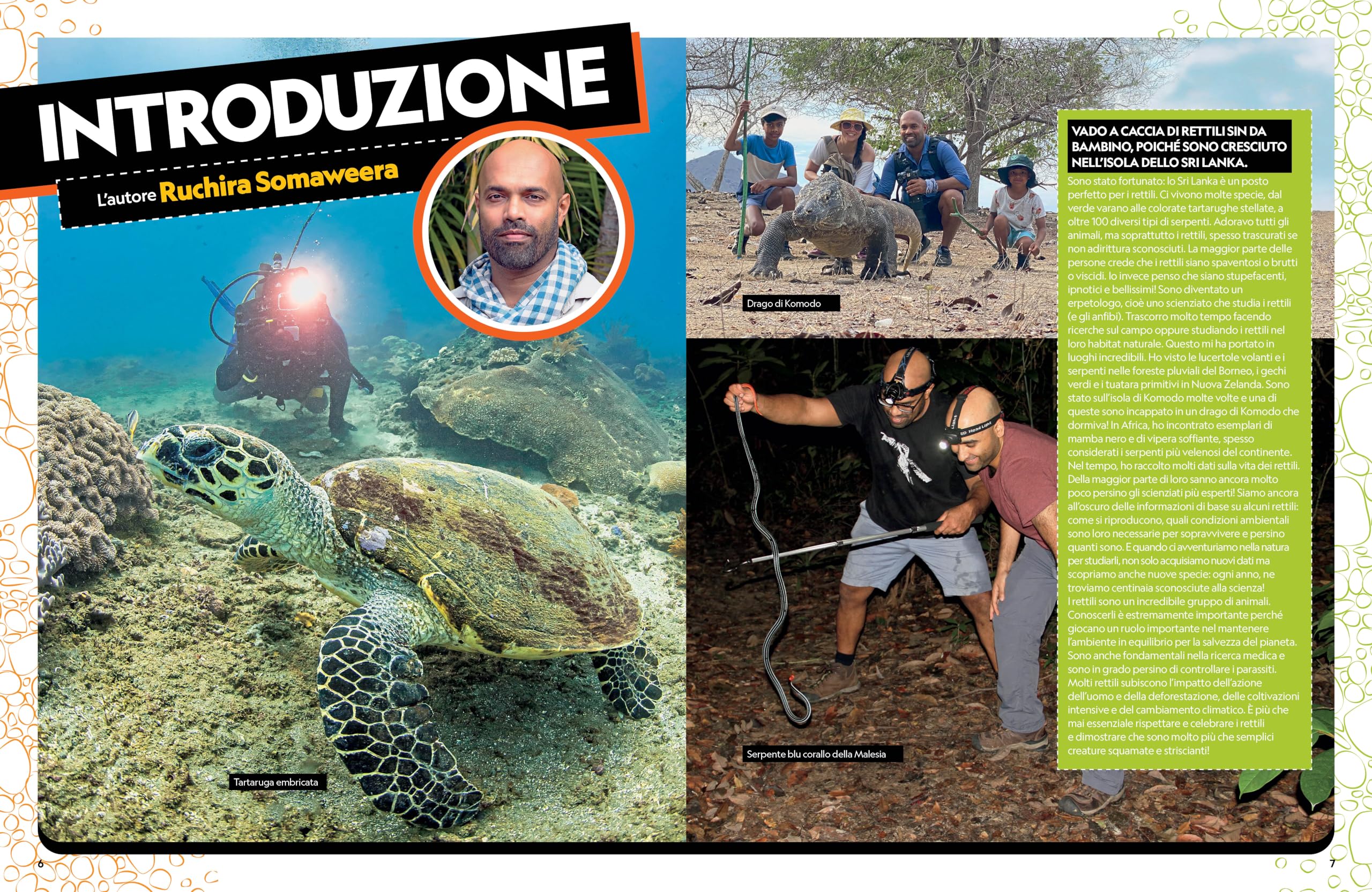 Il grande libro dei rettili. Ediz. a colori