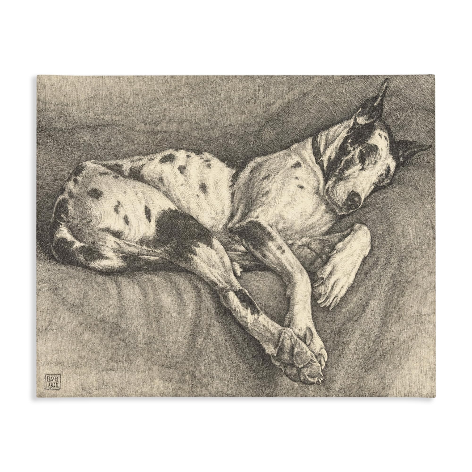 Stupell Industries Unframed Sleeping Hound Drawing, 16 X 20 Inch Canvas Wall Art