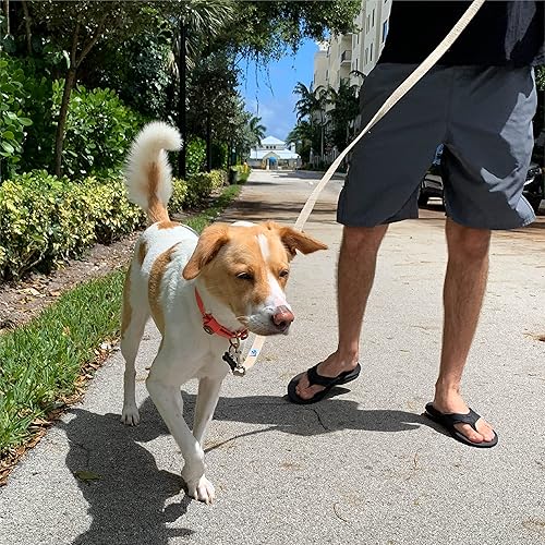 Miniatura 7 de VetGen Wellness - Correa de tela de cáñamo natural de 5 pies para perros, sostenible, biodegradable y respetuosa con el medio ambiente, perno