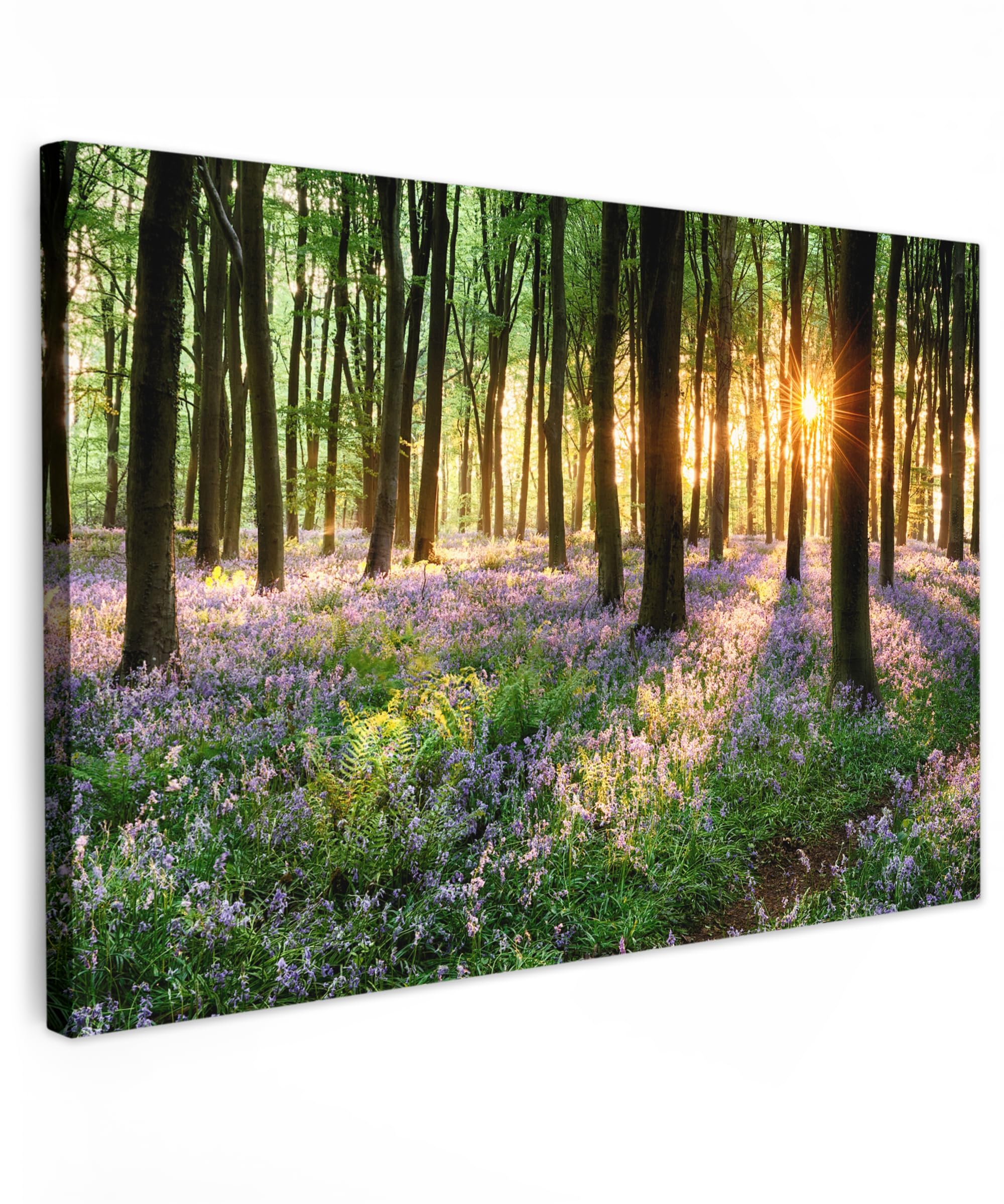 MuchoWow© Leinwand 60x40 cm Deko Schlafzimmer Aesthetic Leinwandbilder Wohnzimmer Gemälde Foto Geschenk Living Room Decoration Wandbild Wald - Natur - Blumen - Sonne - Baum - Lila