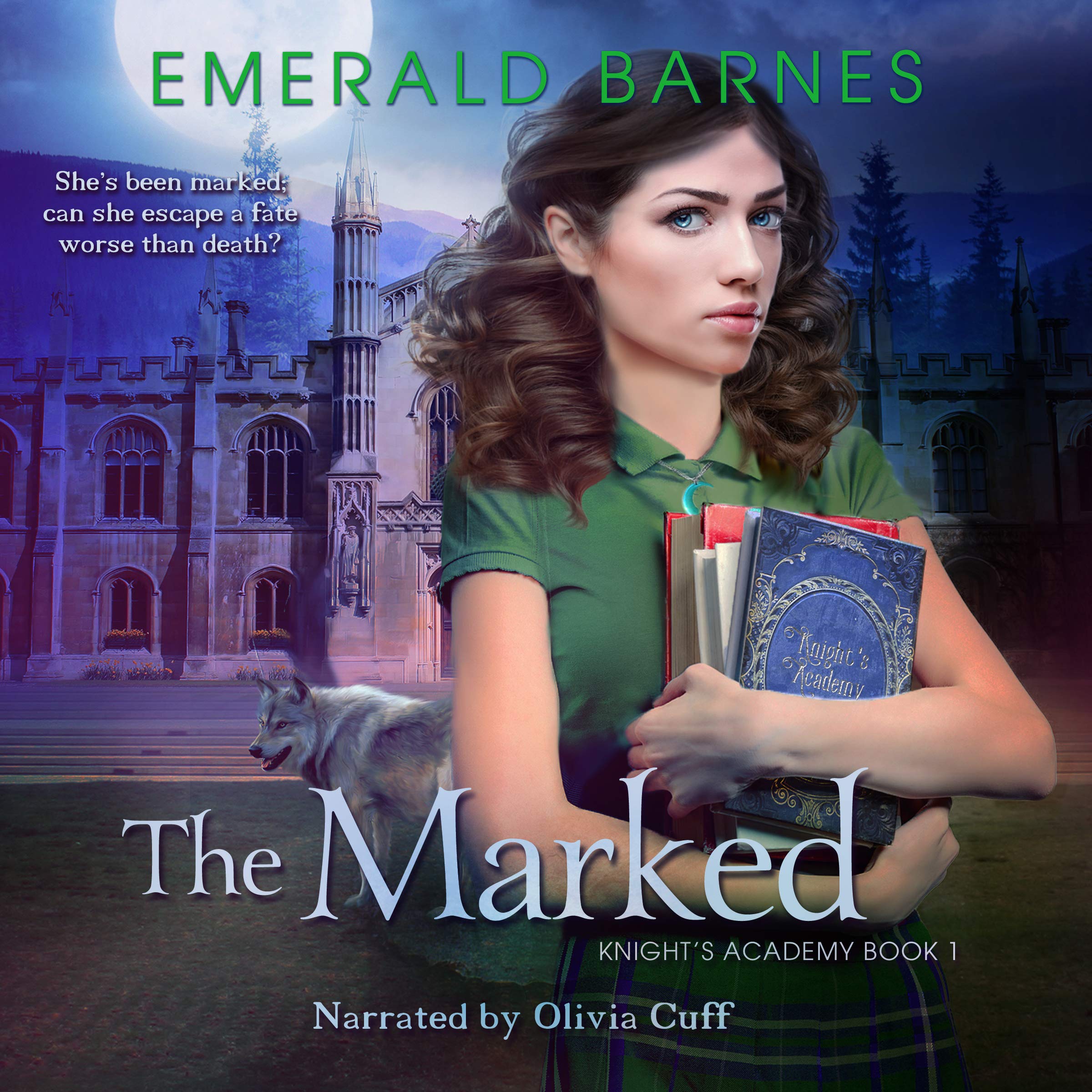 Cover art for The Marked