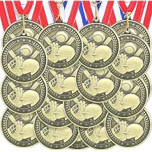 Ferreve 48/96 Pcs Sports Award Medals Bulk with Neck Ribbons Champ Winner Medal Sports Day Favors Prizes for Team Competitions Tournaments Match Party