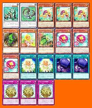 即日発送！大会用　ナチュルホルス　デッキ　遊戯王　ナチュルスティンクバグ 即日発送！大会用 ナチュルホルス デッキ 遊戯王 ナチュルス