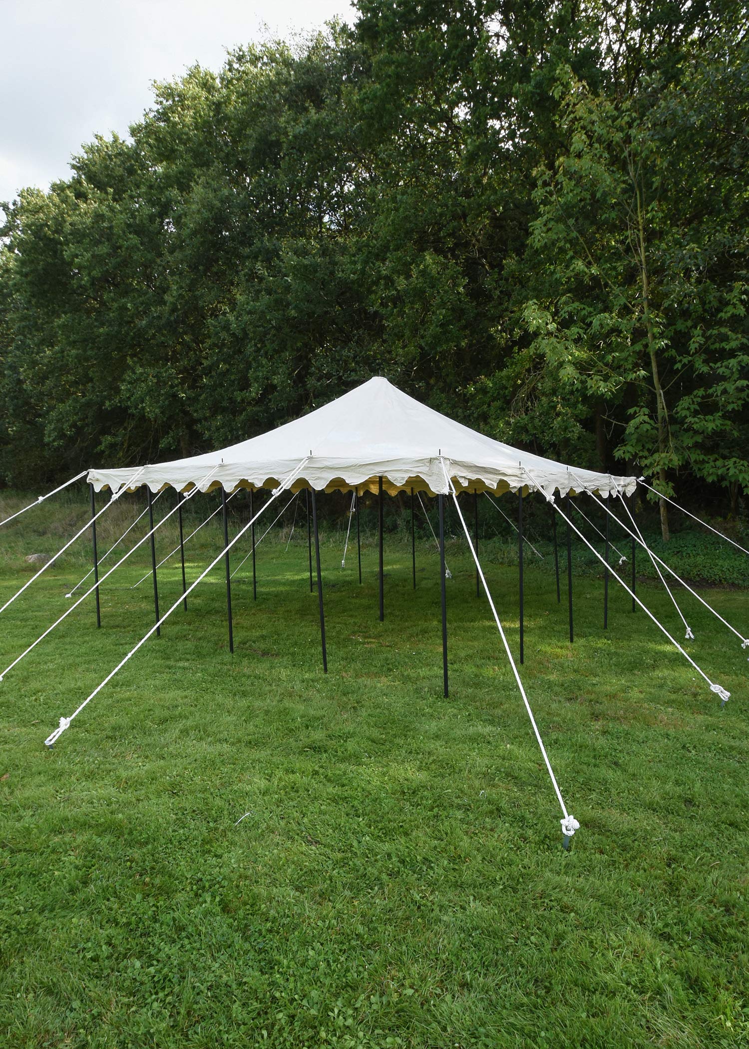 Battle-Merchant Herold Tente de chevalier 5 x 5 m 425 GMS Naturel