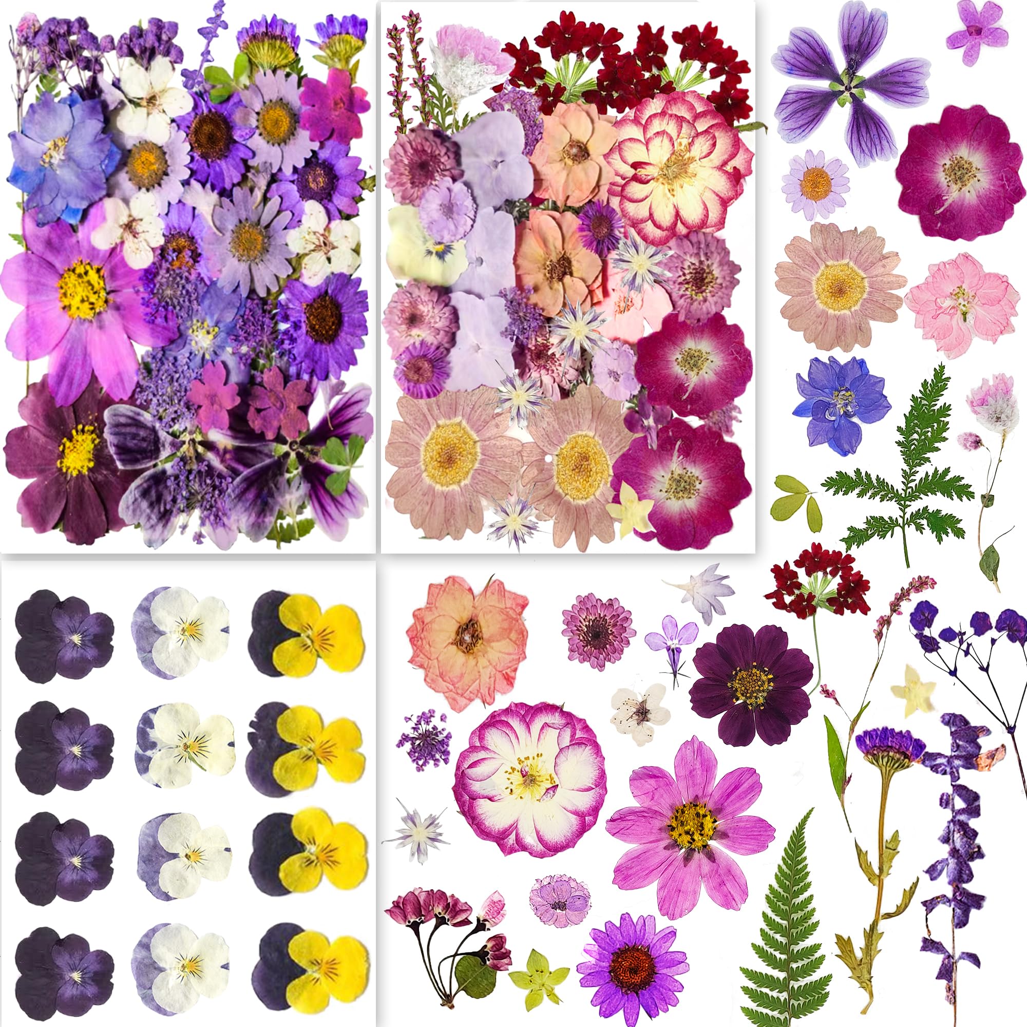 Fiori Pressati Blu Per Resina E Craft - Set 36 Pezzi Con Pinzetta Per Candele, Sapone, Nail Art - Foto 5