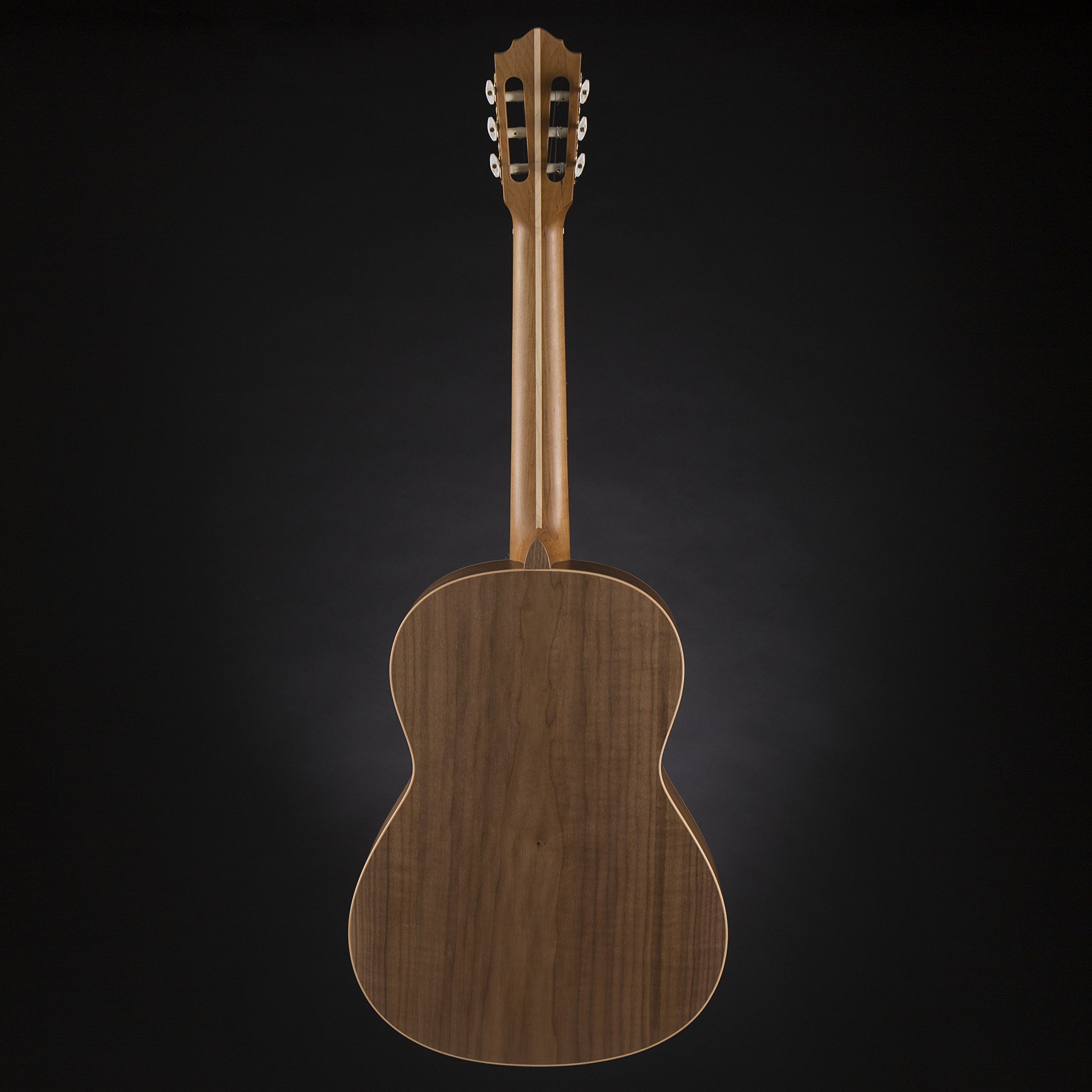 HGL 5 Guitarra de concierto