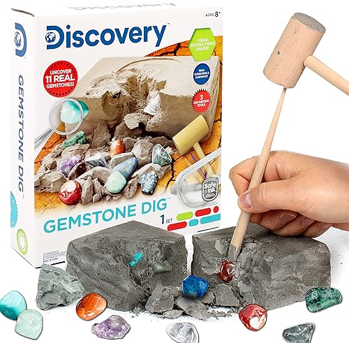 Discovery - Kit de ciencias Stem para explorar la tierra de Horizon Group USA