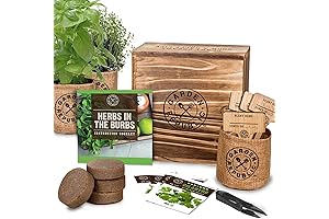 Heirloom Indoor Herb Garden Starter Kit for Kitchen, Balcony, and Window Sill