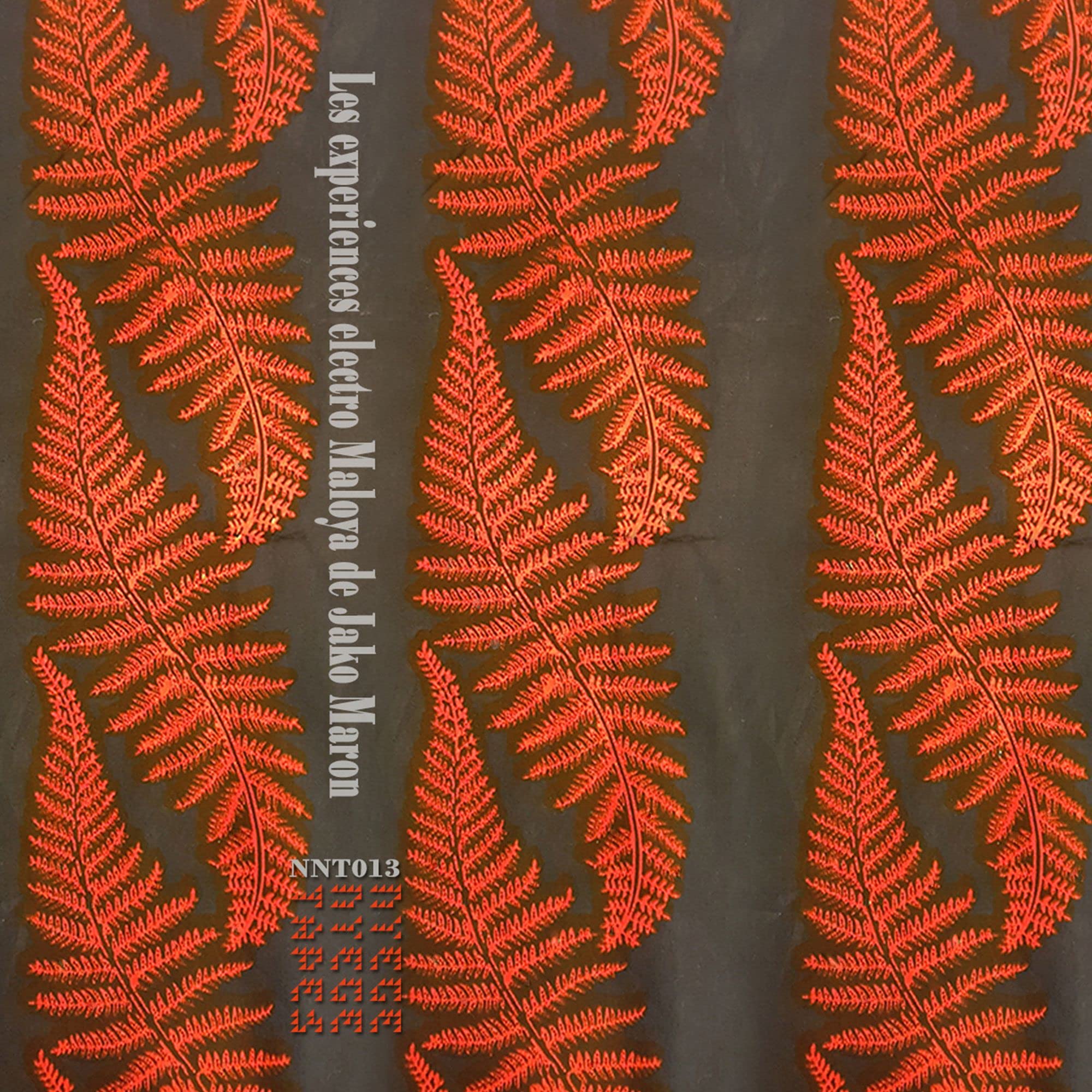 The Electro Maloya Experiments Of Jako Maron [VINYL]
