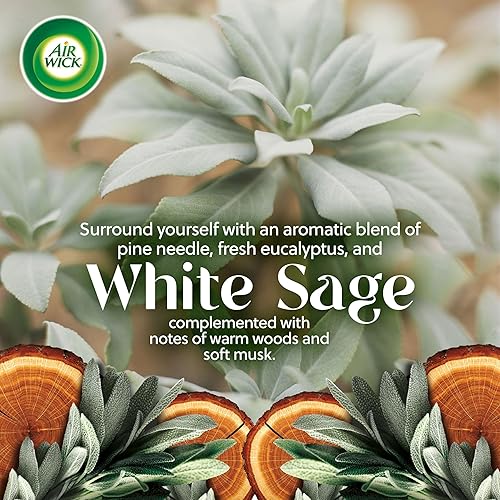 Miniatura 8 de Air Wick Vibrante calentador de aceite perfumado enchufable + recargas, impregnado con aceites esenciales, ambientadores enchufables para el hogar,