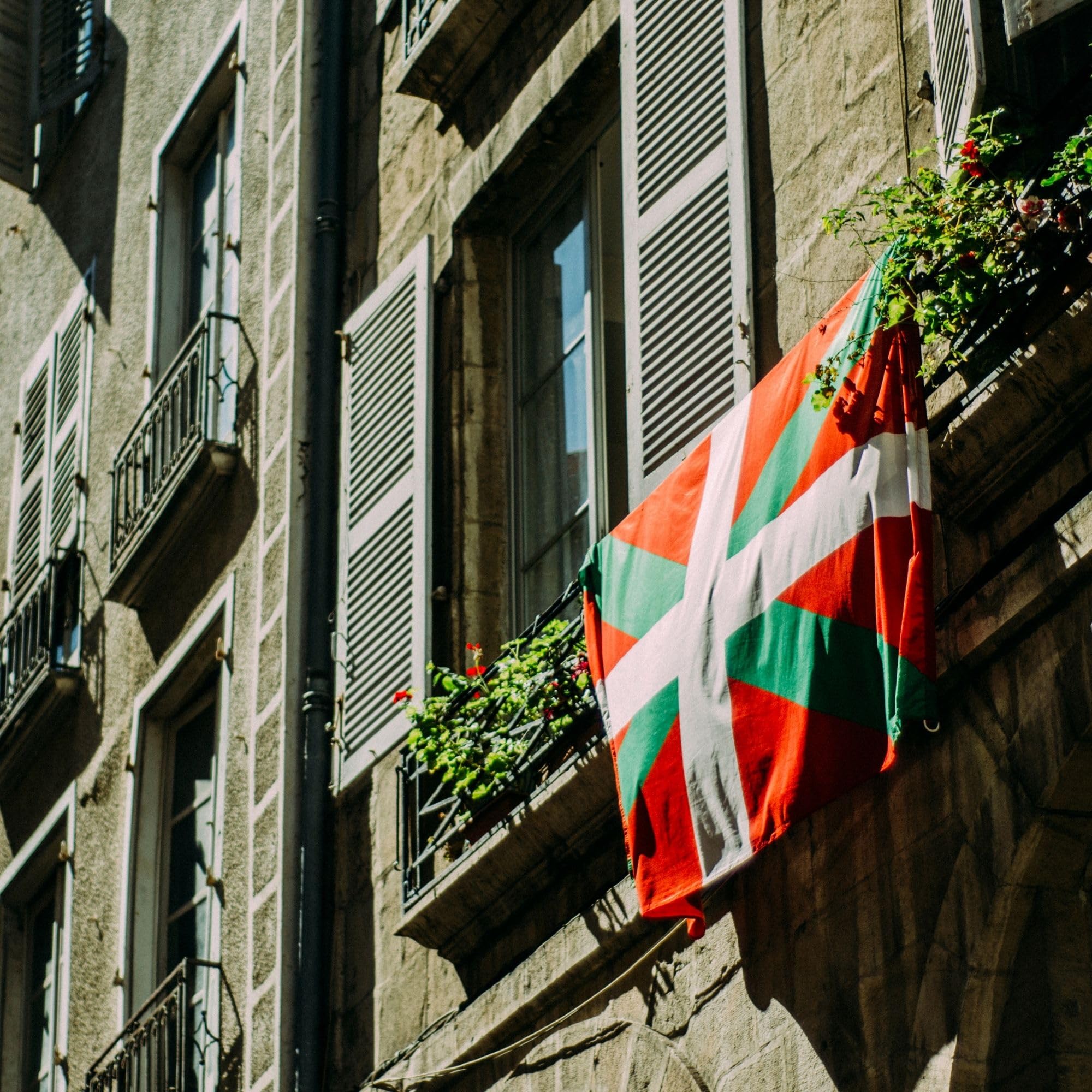 Runesol Basque Country Flag, 91x152cm, 3ft x 5ft, Basque Flag, 4 Grommets, Eyelet in Every Corner, País Vasco, Ikurriña - Image 3