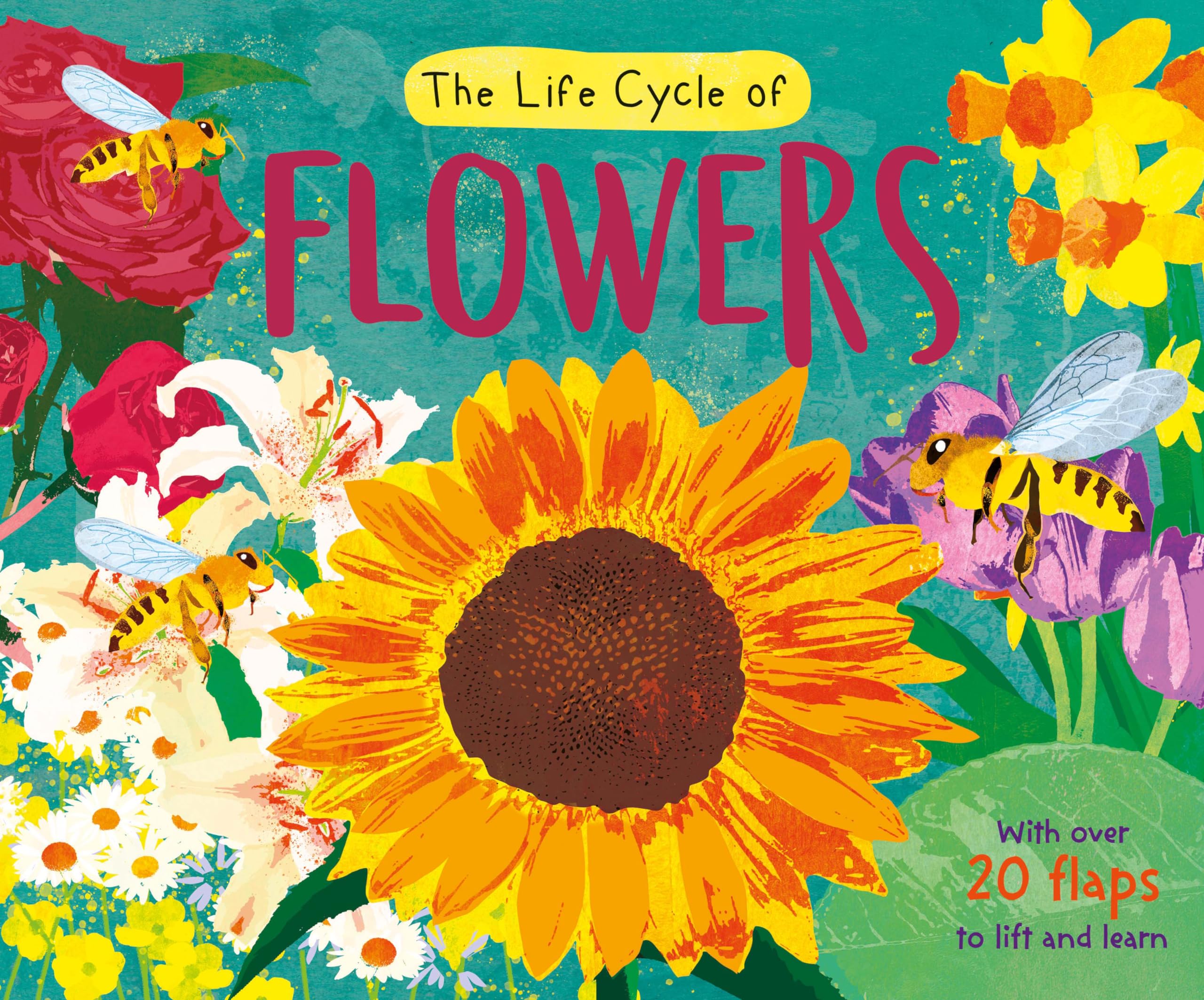 The Life Cycle of Flowers (Life Cycle Board Book)