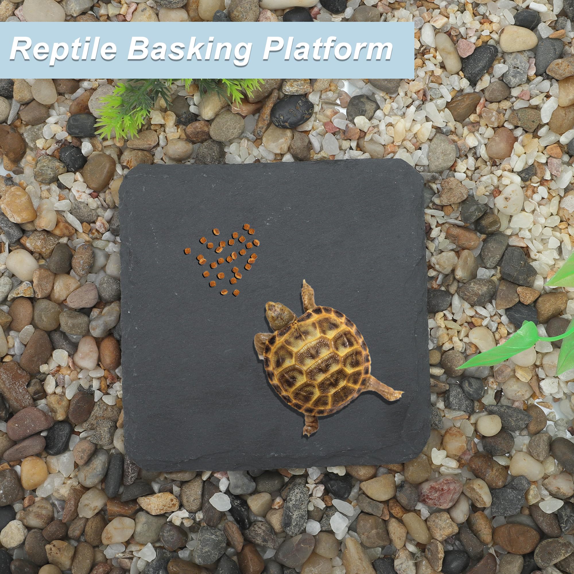 CAPASTEC Reptile Basking Platform, Square Tortoise Habitat Slate, Turtle Feeding Slate, Habitat Decor Accessories for Crested Gecko Lizard, Gray Black