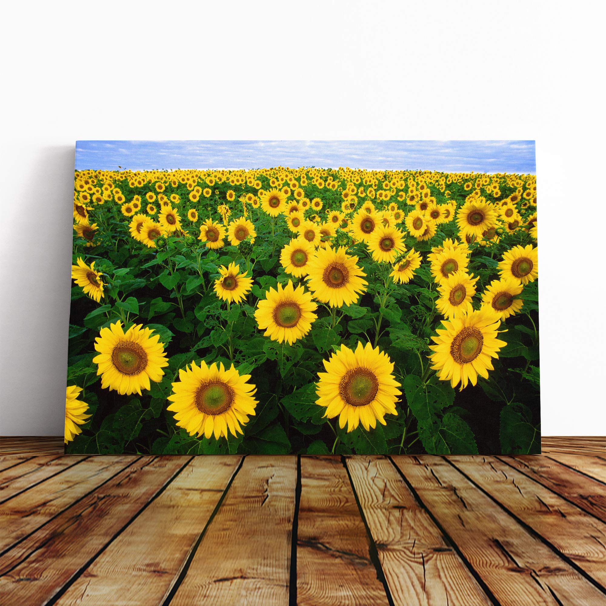 Yellow Sunflower Flowers Canvas Print | Gallery Wrapped 30mm Frame Wall Art | 20x14 inches | Ready to Hang | Modern Floral Picture | Living Room Bedroom Lounge Office