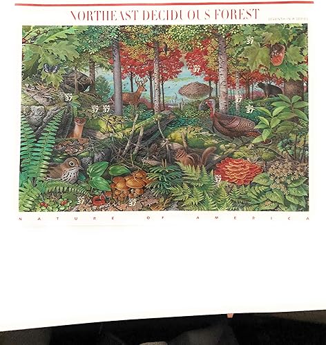 Northeast deciduos Bosque Panel de diez 37 sellos Scott 3899por USPS