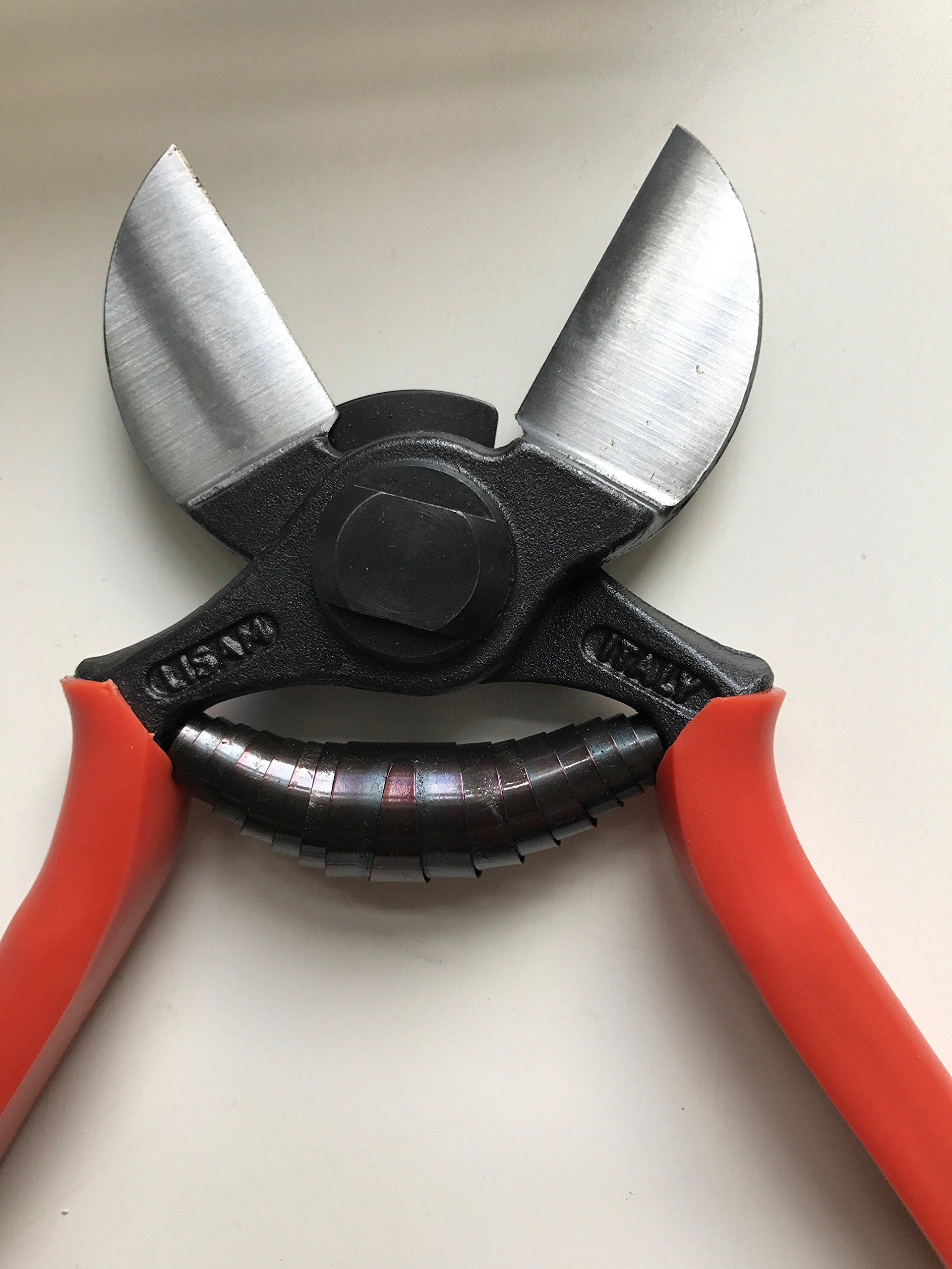LISAM - Cesoie da giardino professionali, con lame a doppio taglio, 21 cm, art. 3/A
