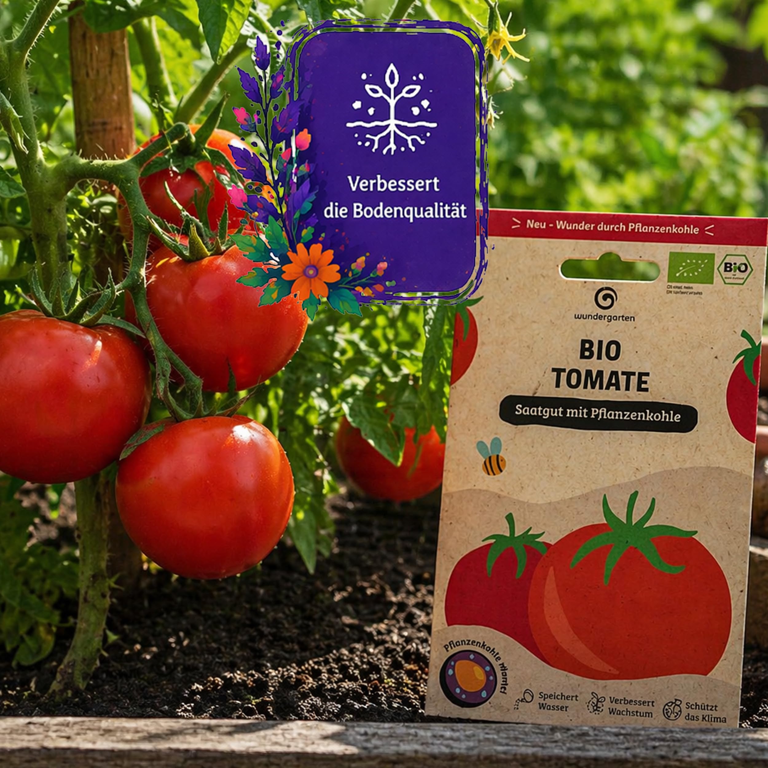 20x Bio Tomaten Saatgut Moneymaker – Wundergarten – Mit Pflanzenkohle-Mantel – Hohe Keimrate & aromatische Tomaten – Gemüsesamen für Garten, Gewächshaus & Balkon