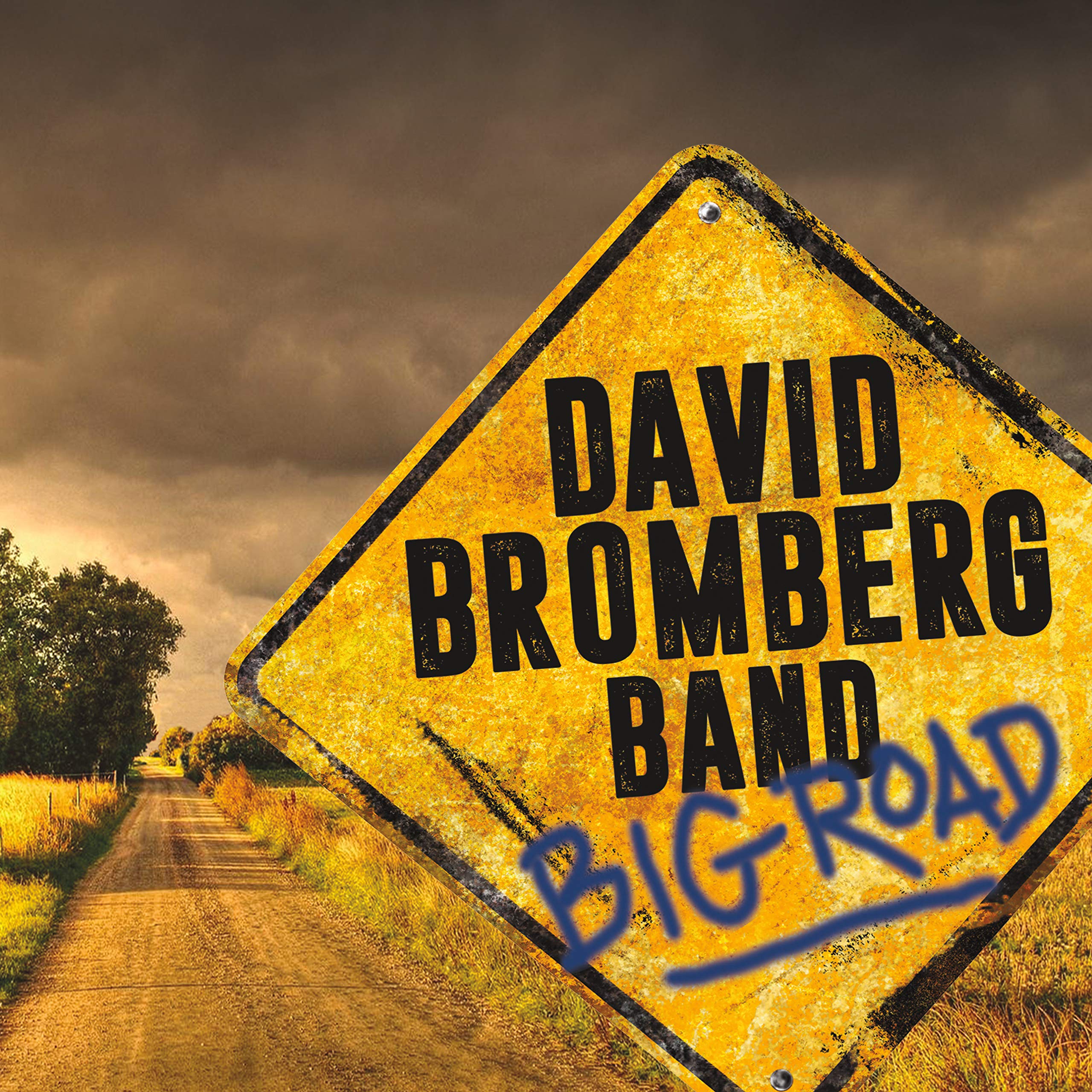 David Bromberg Band