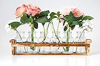 Vista 4 de Hermoso jarrón de cristal con soporte de madera para plantas y 6 jarrones de brotes, botellas de vidrio decorativas para decoración del hogar