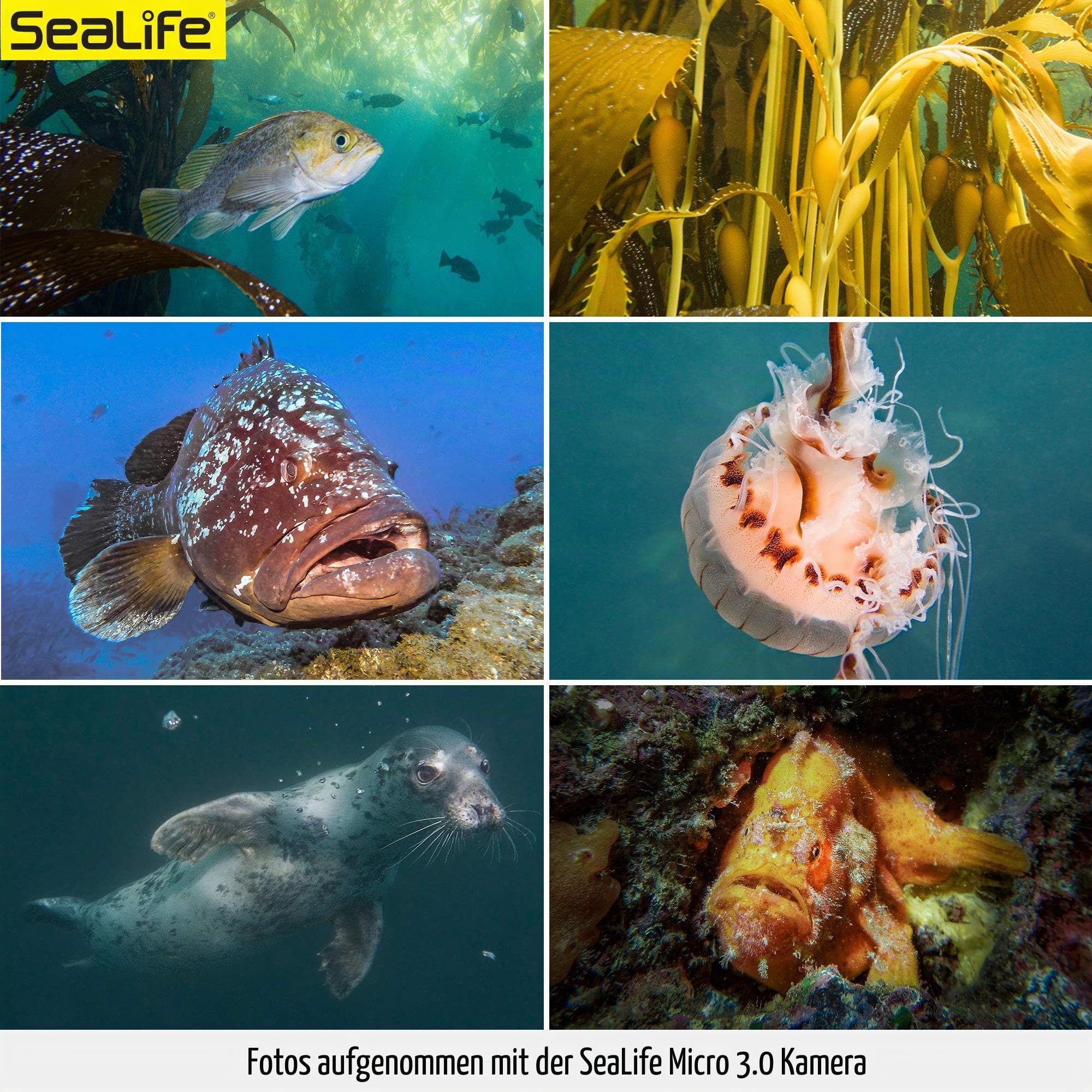 Sealife Micro 3.0 64GB (SL550) Unterwasser Kamera mit 4K Ultra HD Video und Wasserdicht bis 60m
