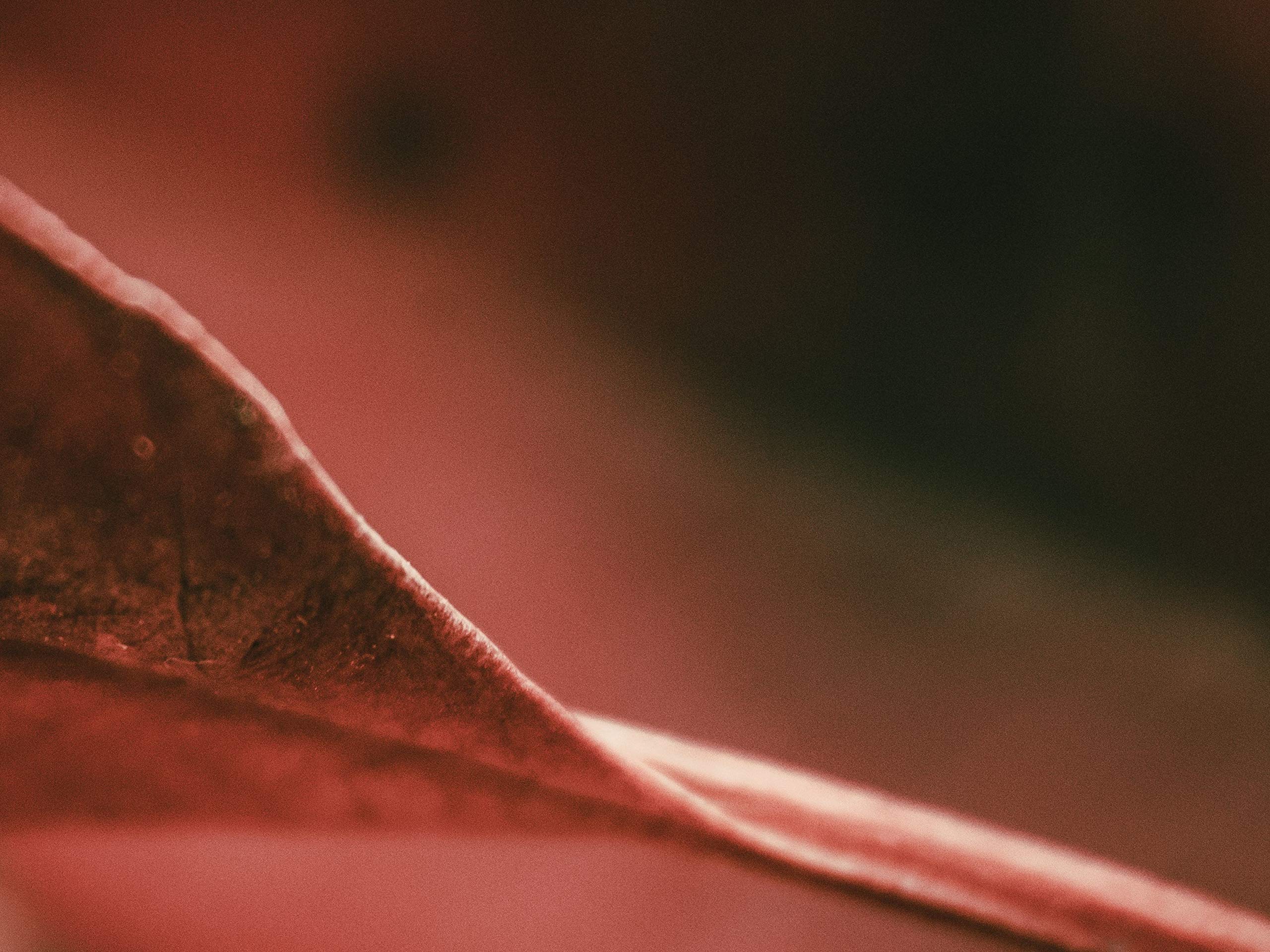 How Great Were the Robins