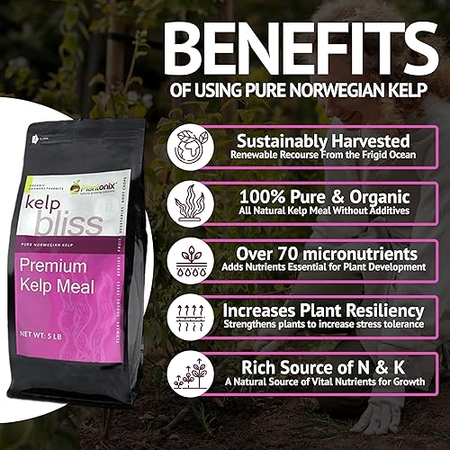 Miniatura 6 de Coco Bliss - Ladrillos de 22.93 oz (paquete de 5) + Kelp Bliss (5 libras) - Fertilizante de harina de algas y fibra de coco para plantas -
