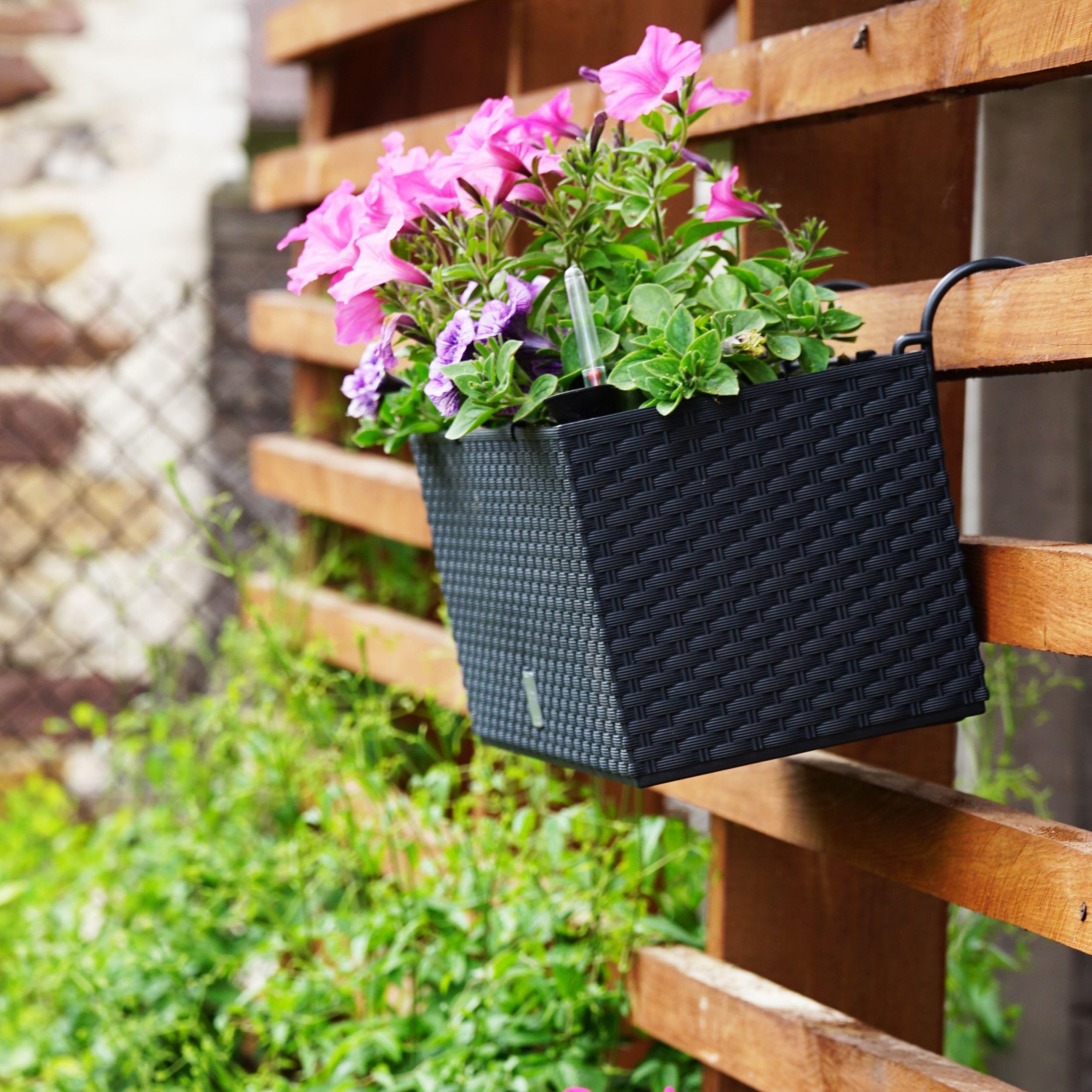 Blumenkasten Balkon Set 2 X 51x19x18,5 cm | Balkonkasten in Rattanoptik |  Pflanzkasten mit Griff, Halterungen und Bewsserungssystem | Blumentpfe  fr die Terrasse | Pflanzkbel in edlem Design |Umbra: Amazon.de: Garten