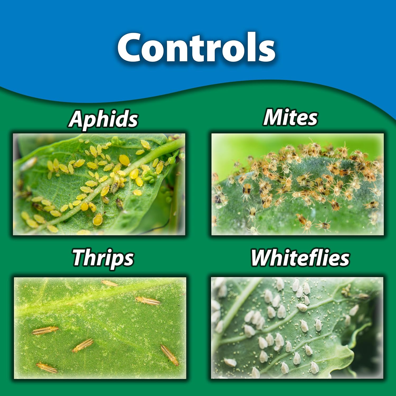 Monterey Horticultural Oil Bundled with Measuring Spoon - Treatment for Control of Insects - OMRI Listed - 1 Gallon