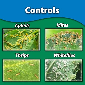 Monterey Horticultural Oil RTS Ready to Spray Bundled with Garden Measuring Spoon - Treatment for Control of Insects - OMRI Listed - 32 oz
