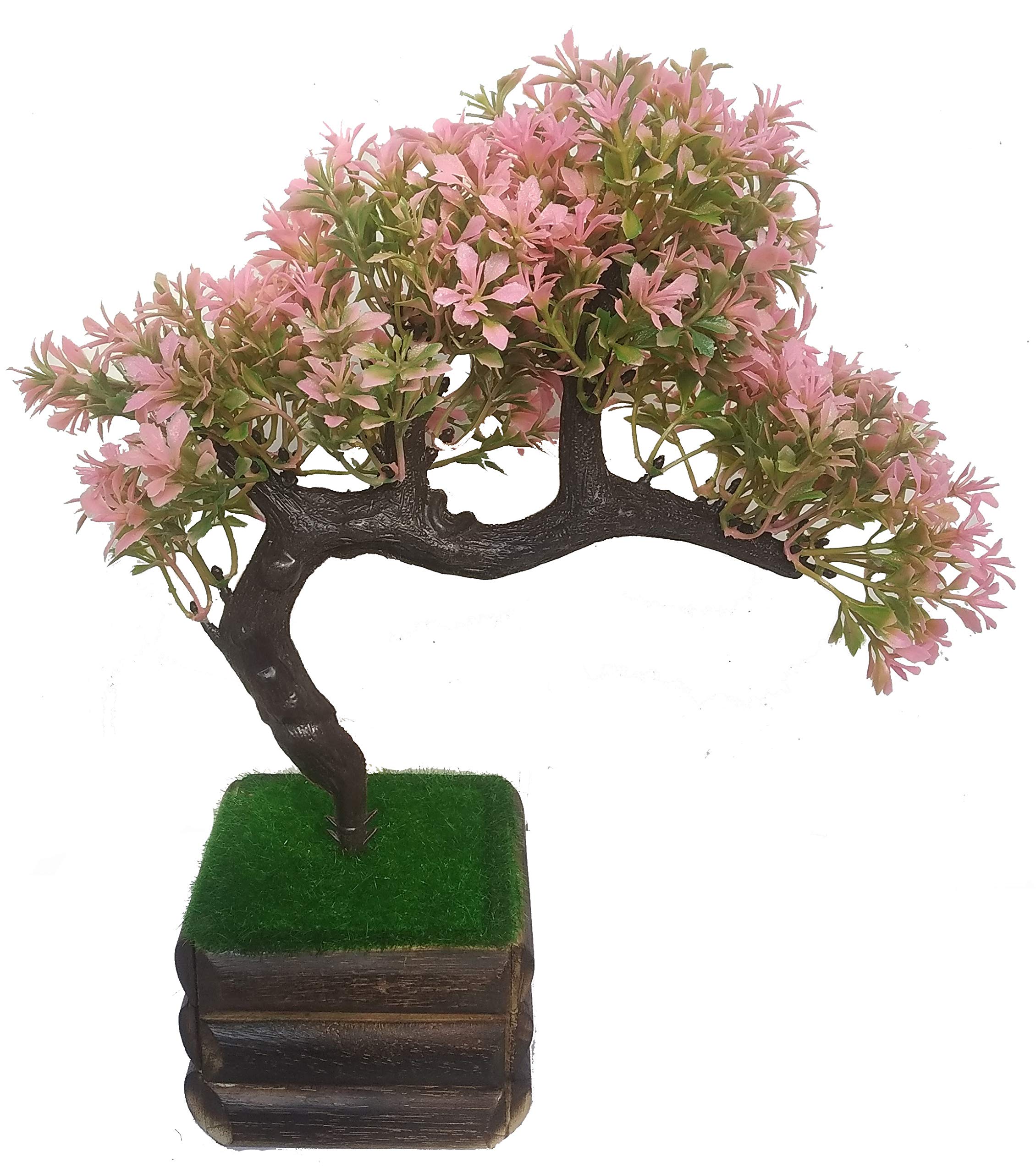 HYPERBOLES Bonsai Flower Plant for Home Decor - Small - 10inch/25cm