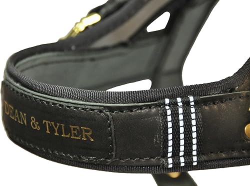 Miniatura 2 de Dean & Tyler Leather Guide - Arnés para perro, mediano, color negro