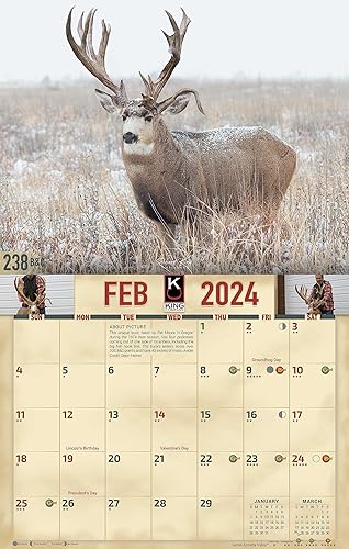 Miniatura 3 de The KING Company - Calendario de pared 2024 con diseño de ciervo y mula, tamaño XL, 14 x 22 pulgadas, el mejor calendario de ciervos mulas Big Buck