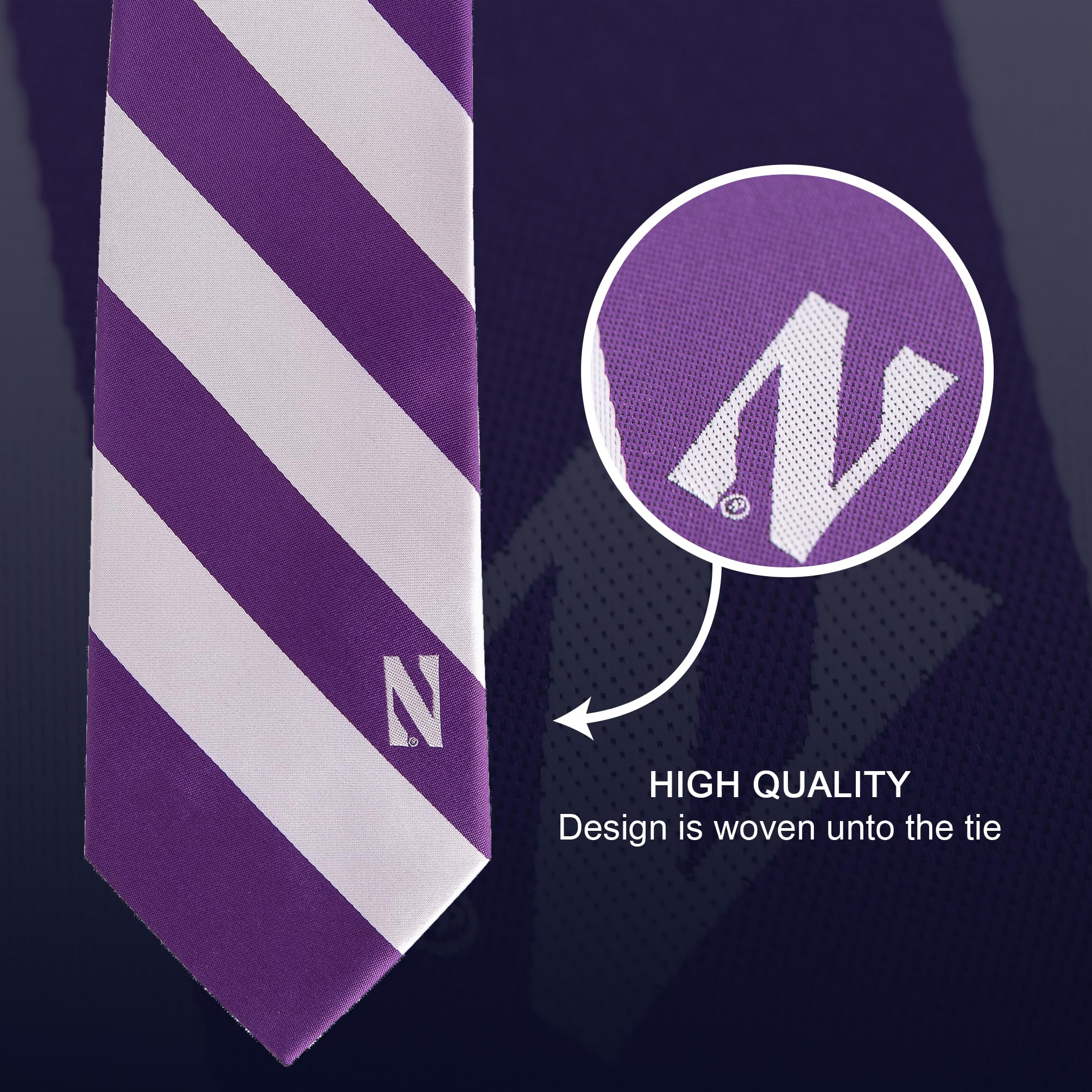 Desert Cactus Northwestern University Tie NU Wildcats, 100% Polyester, with Logo